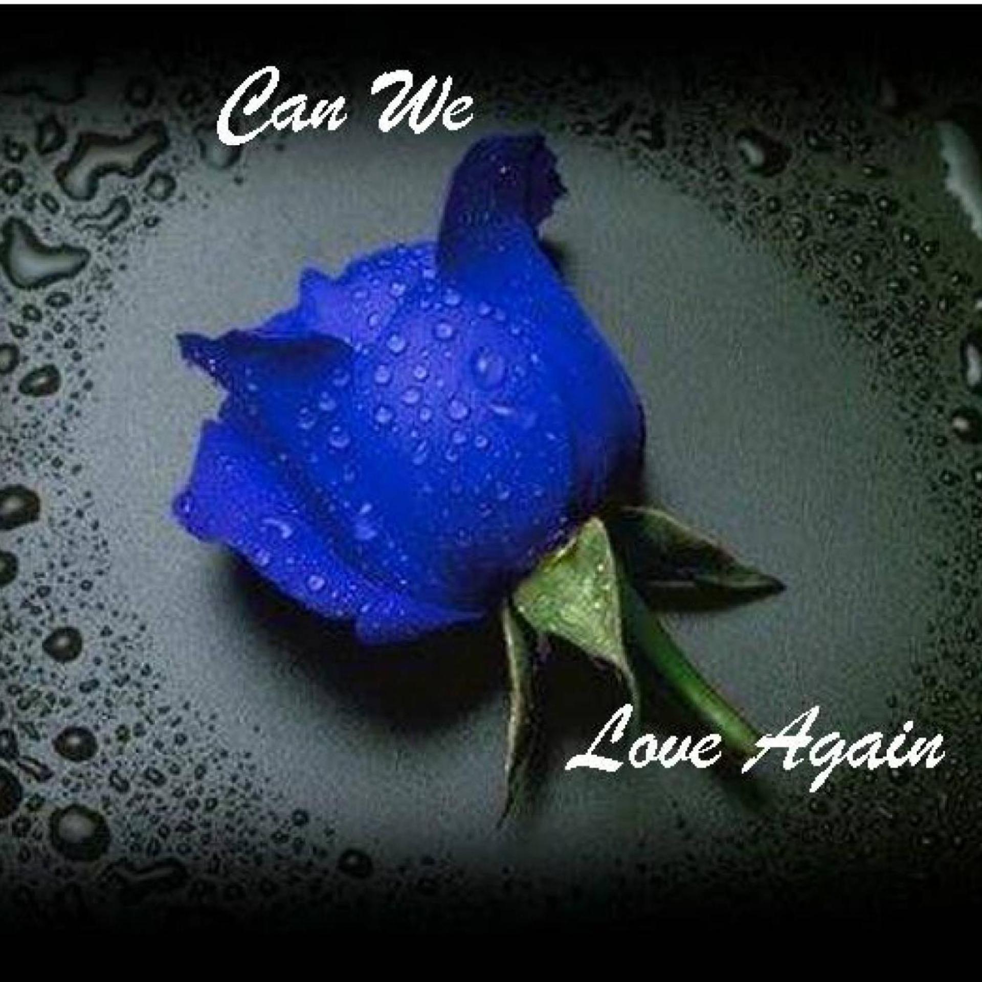 Постер альбома Can You Love Again (feat. Max Yates)