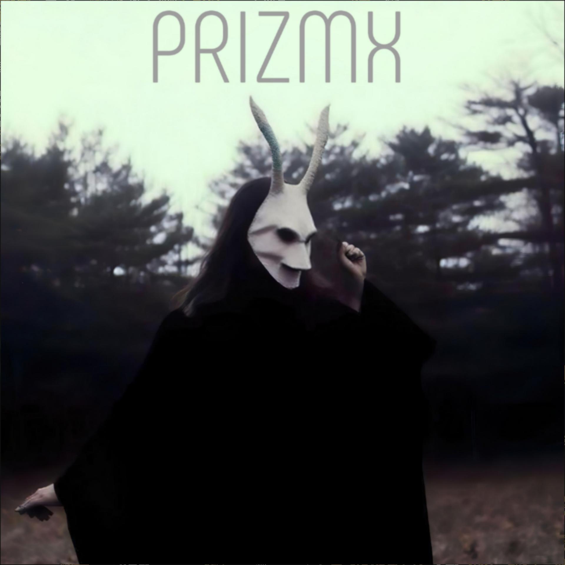Постер альбома Prizmx