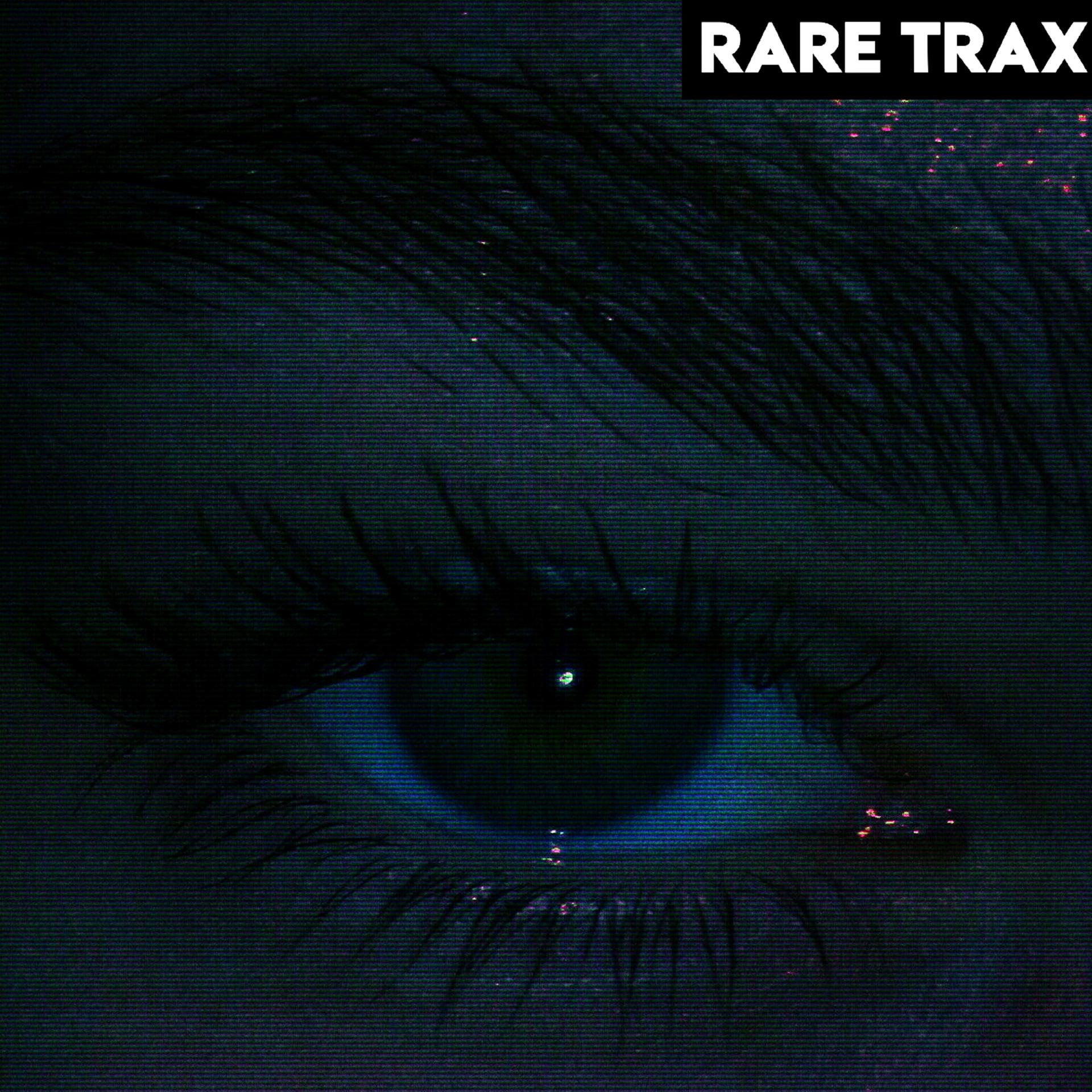 Постер альбома Rare Trax