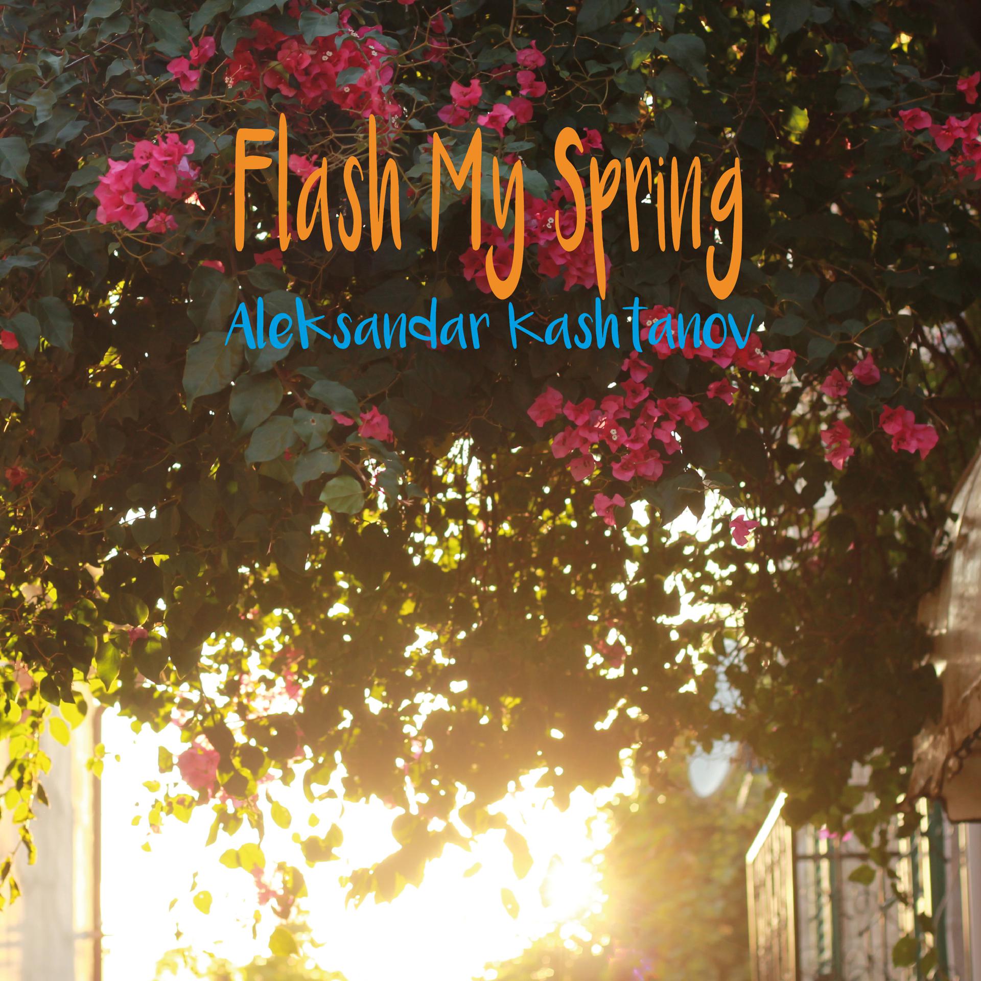 Постер альбома Flash My Spring