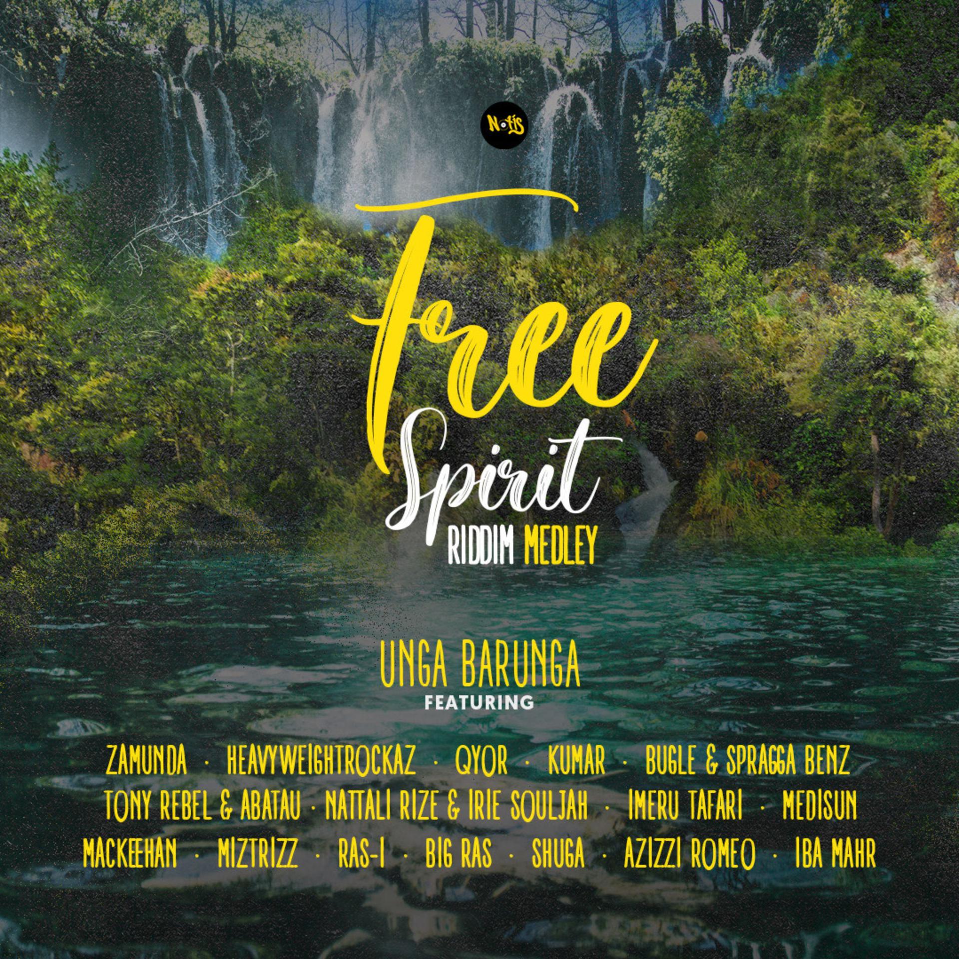 Постер альбома Free Spirit Riddim Medley
