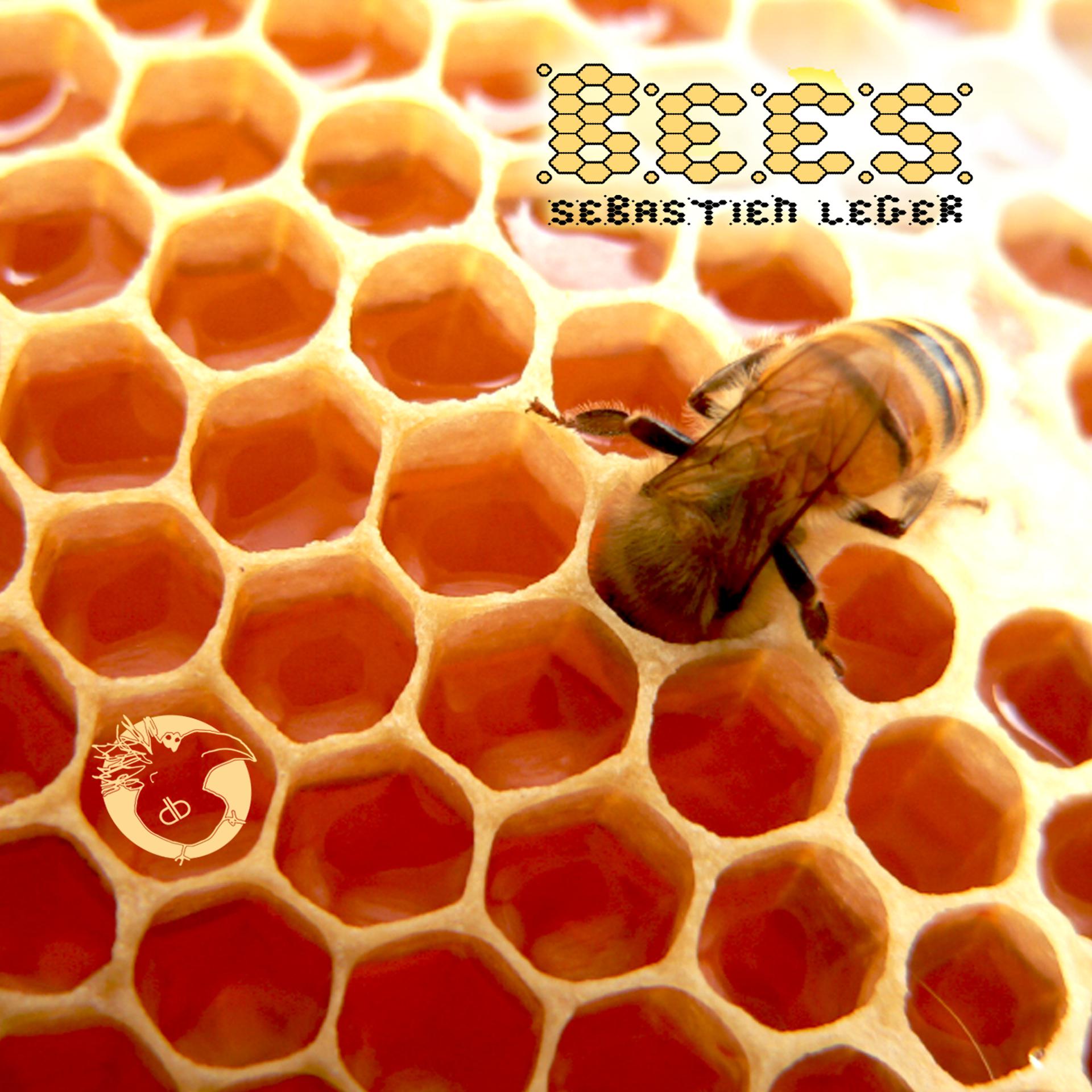 Постер альбома Bees