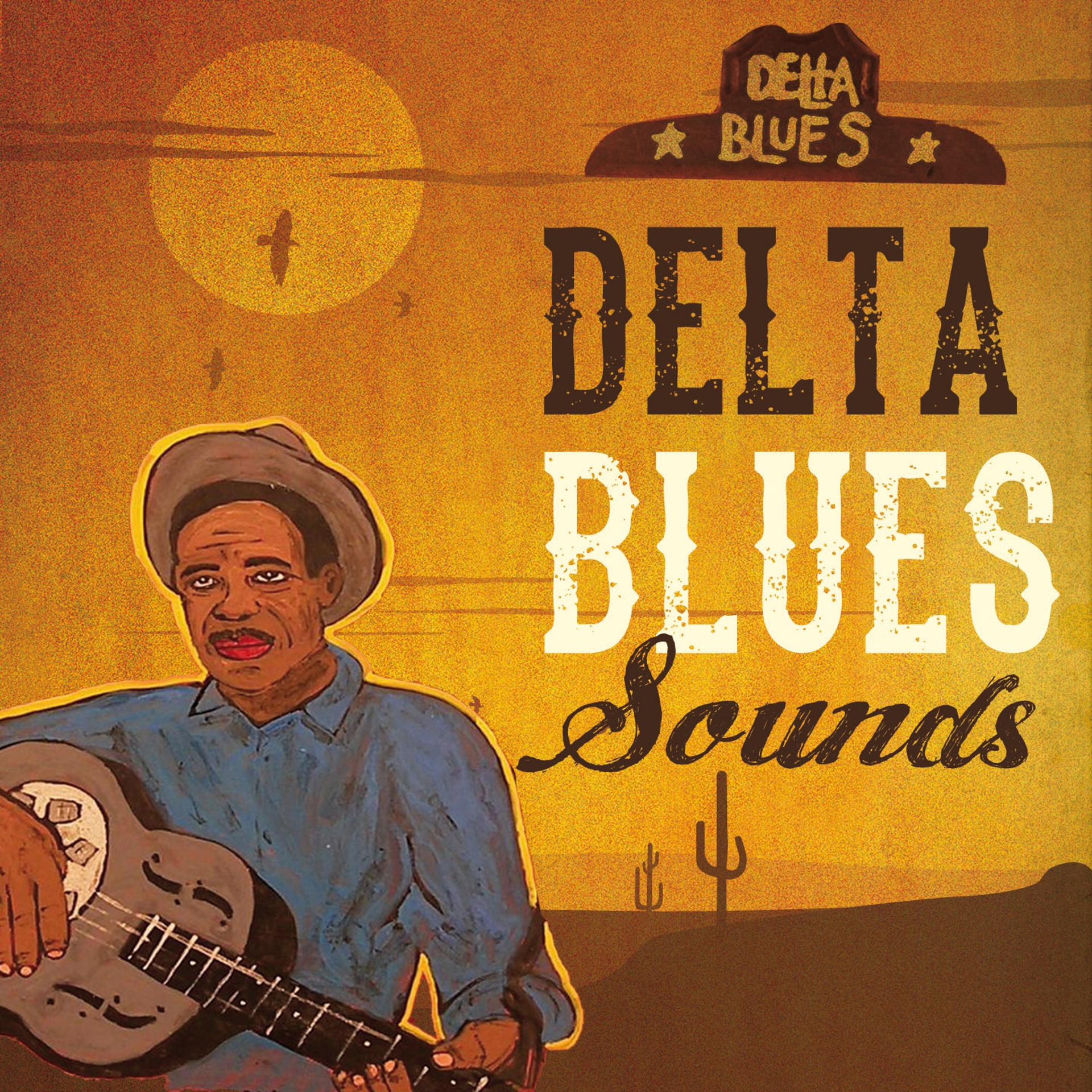 Постер альбома Delta Blues Sounds