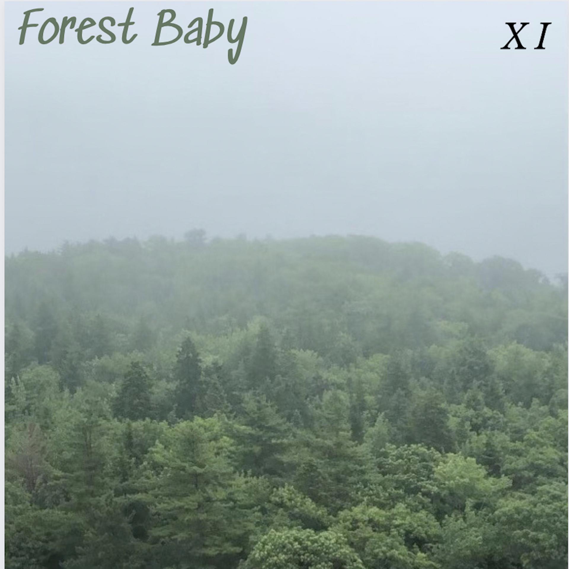 Постер альбома Forest Baby