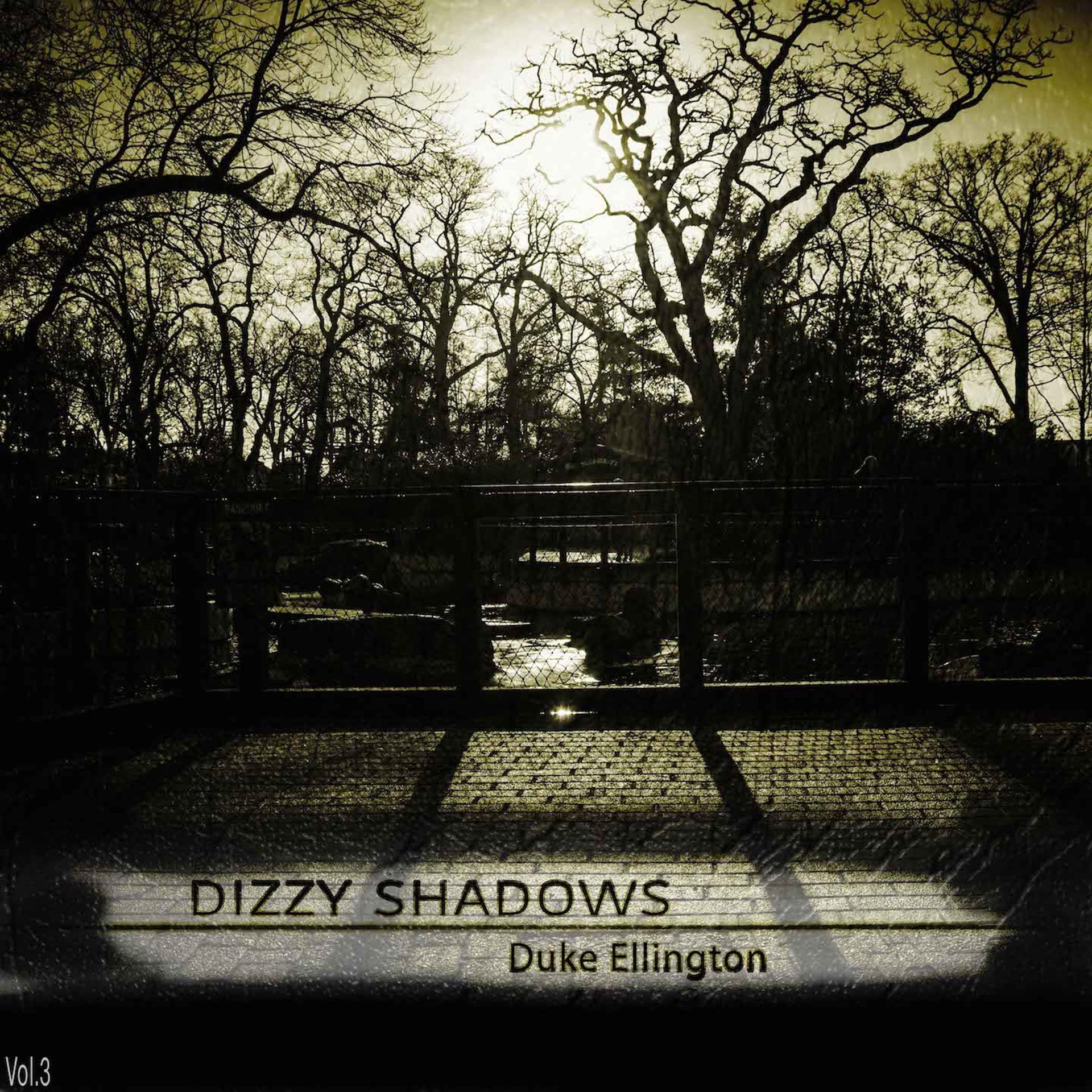 Постер альбома Dizzy Shadows, Vol.3