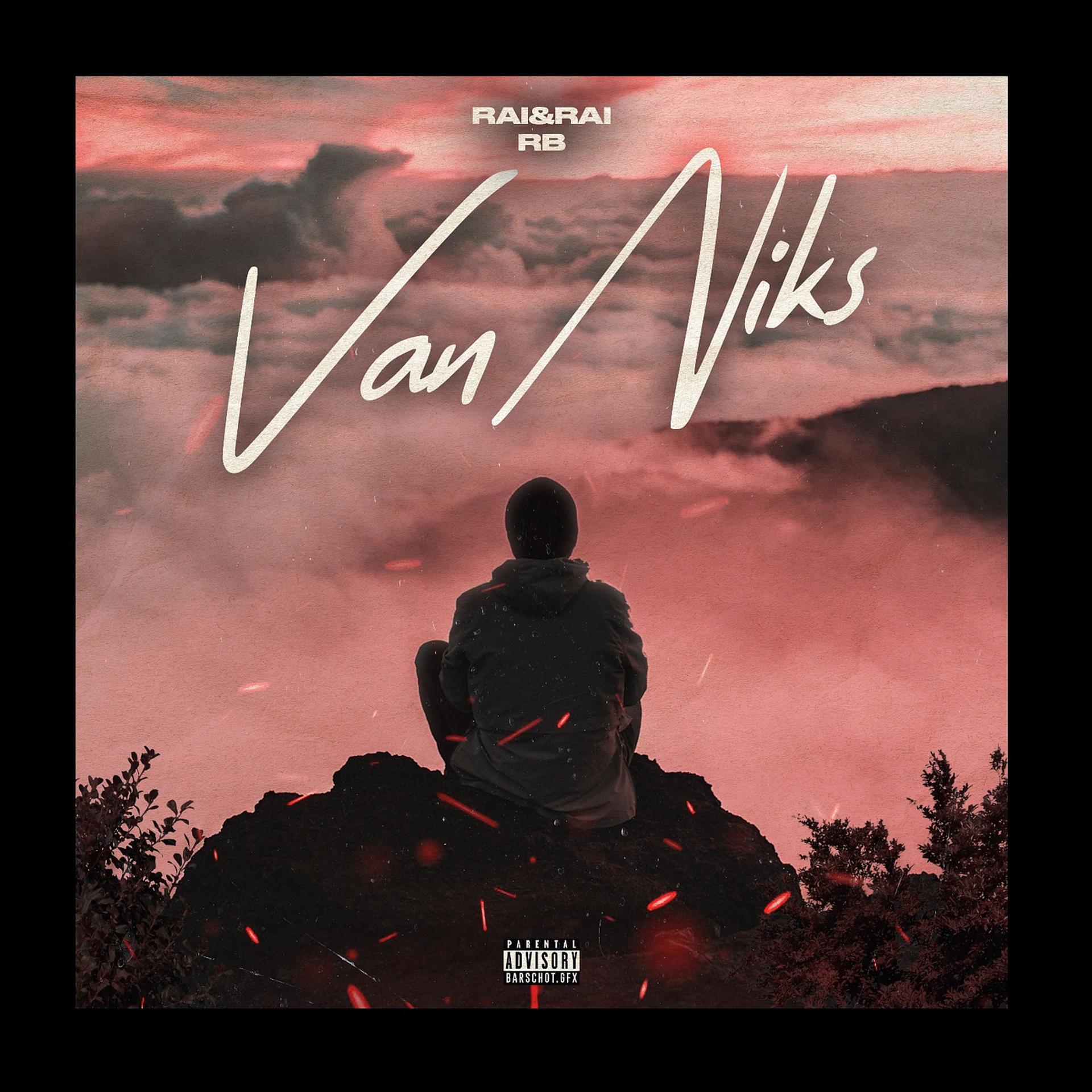 Постер альбома Van Niks