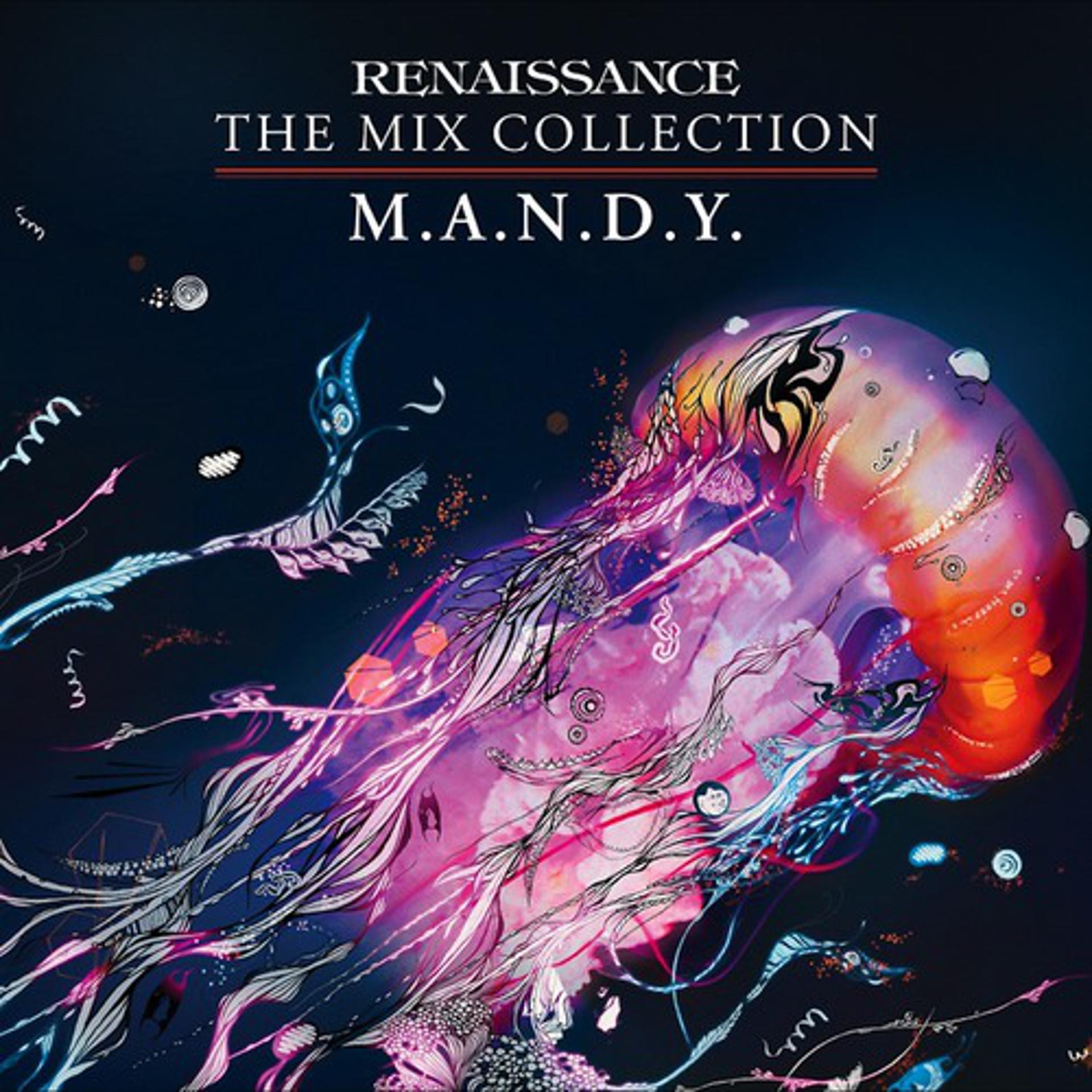 Постер альбома Renaissance - The Mix Collection