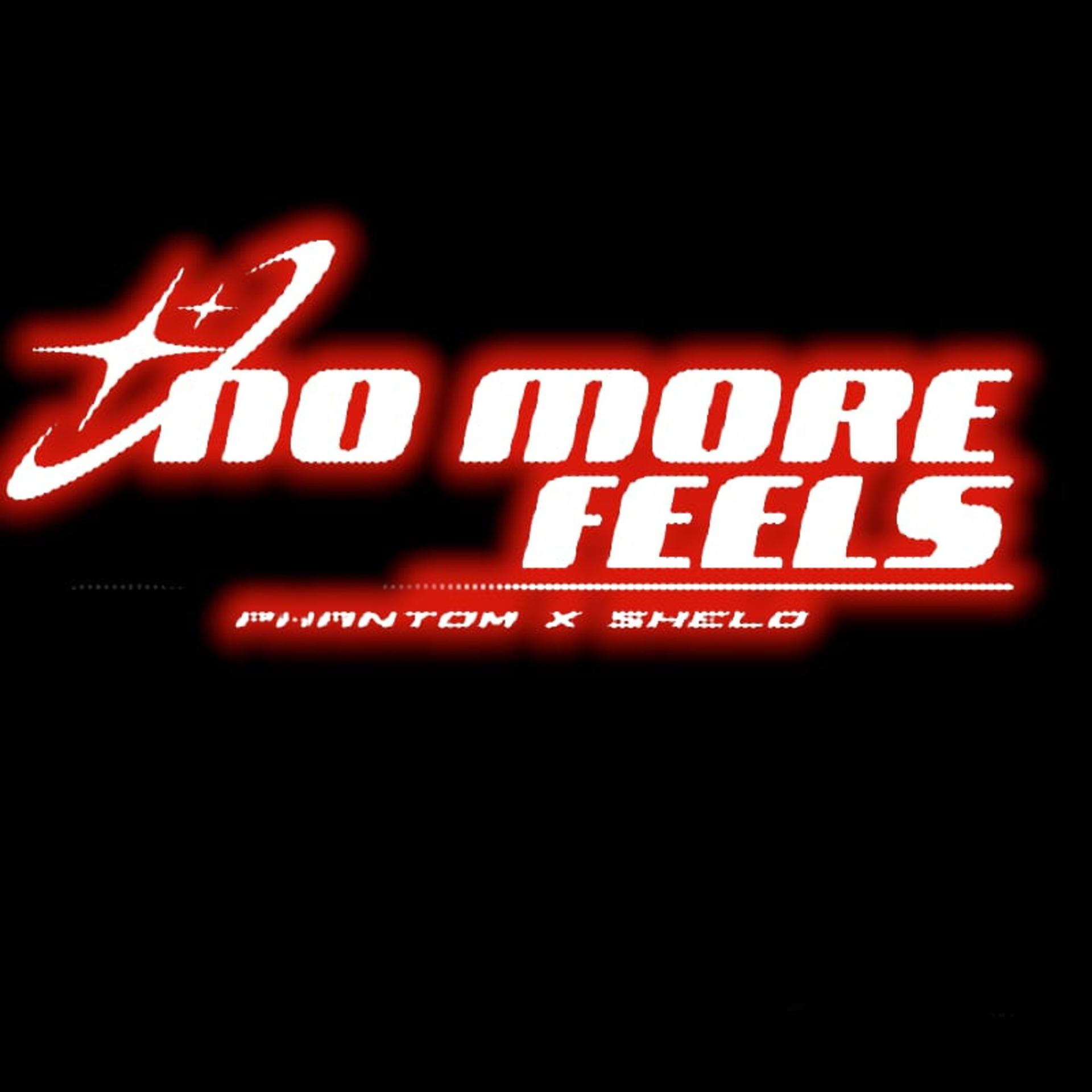 Постер альбома No More Feels (P.Shelovesplug)