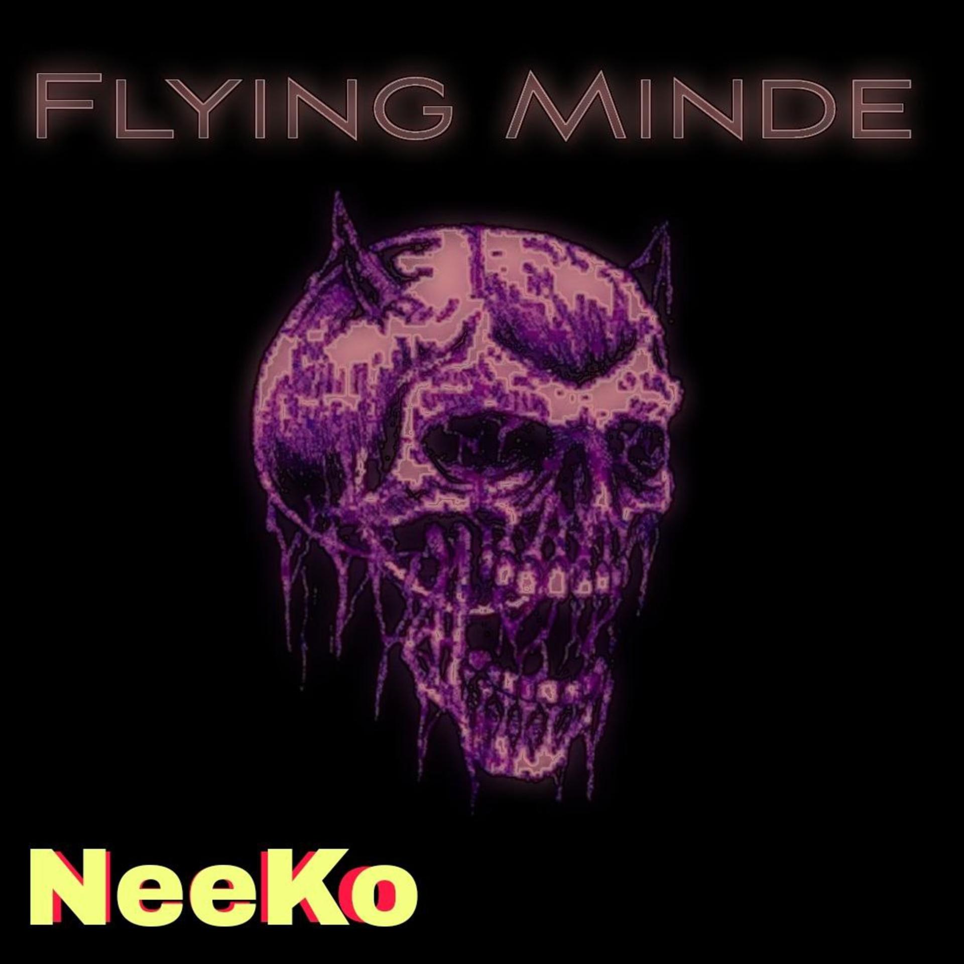 Постер альбома Flying Minde