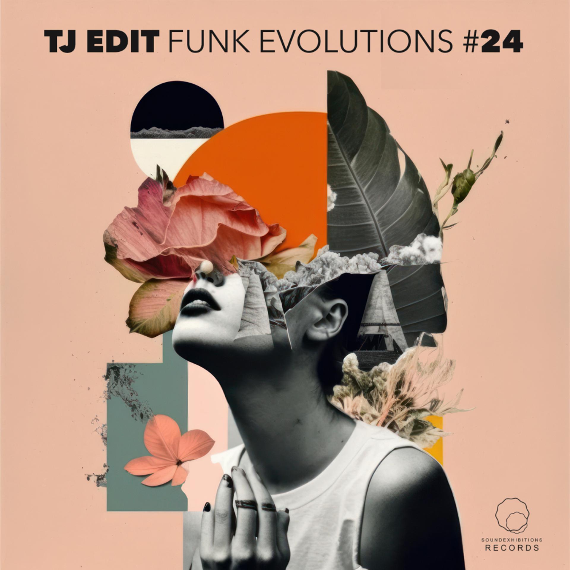 Постер альбома Funk Evolutions # 24
