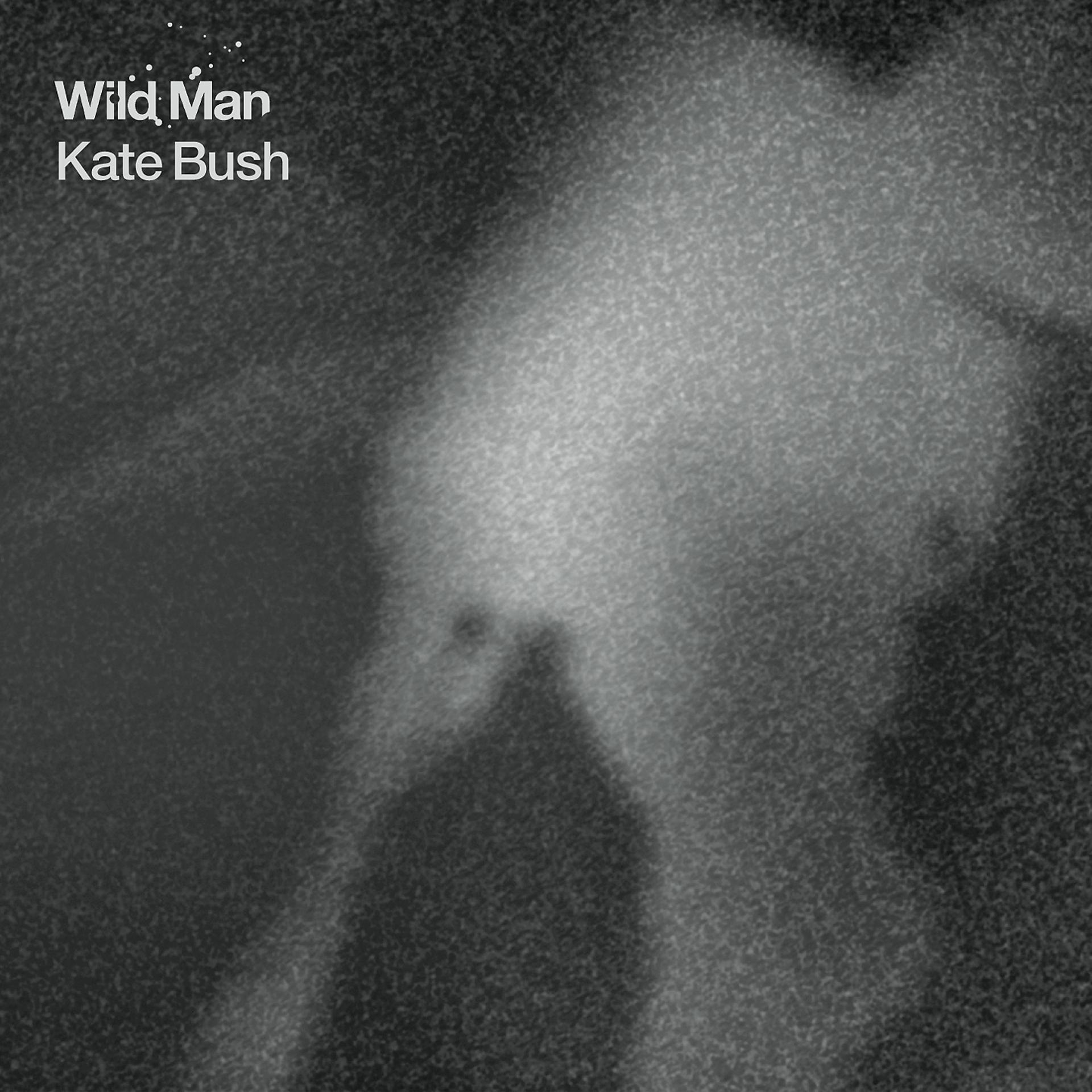 Постер альбома Wild Man