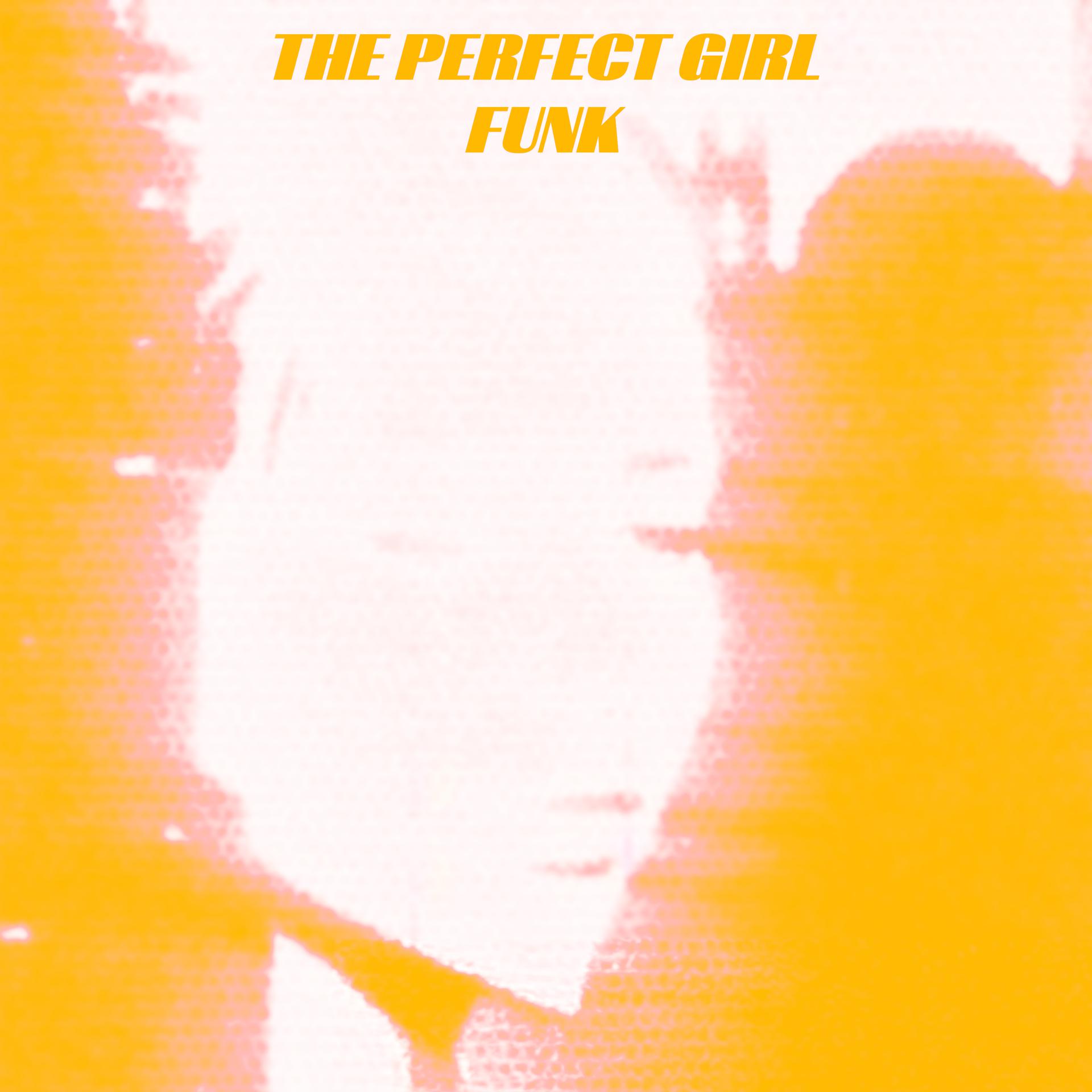 Постер альбома The Perfect Girl Funk