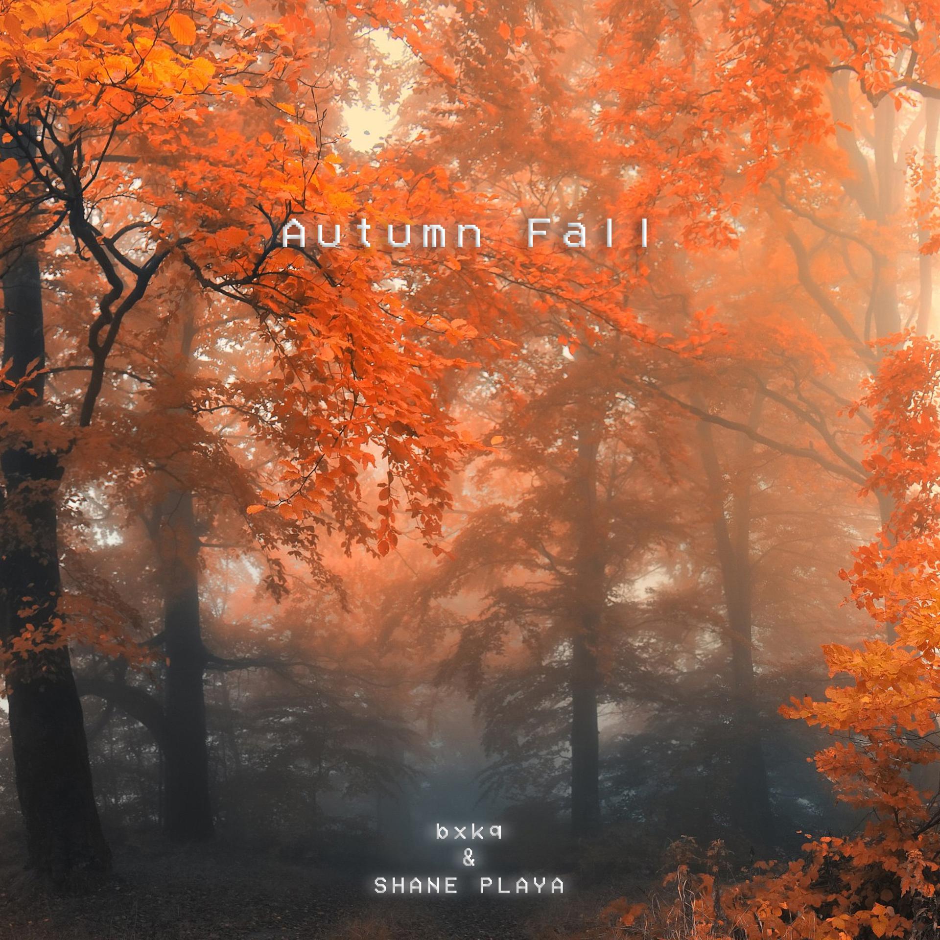 Постер альбома Autumn Fall