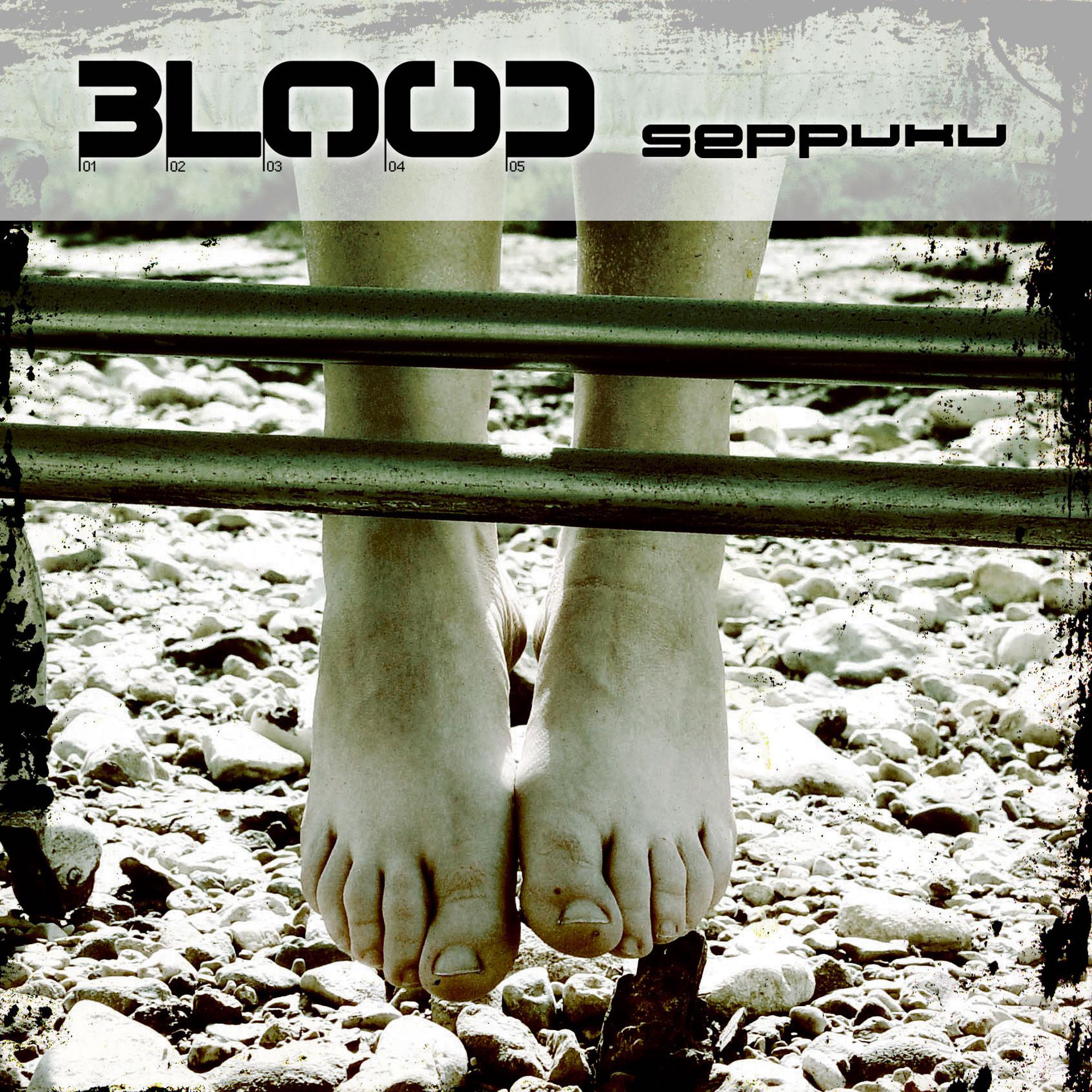 Постер альбома Seppuku