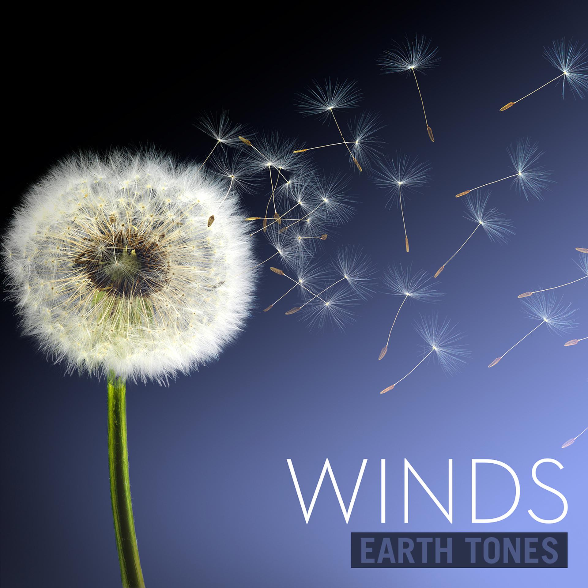 Постер альбома Earth Tones: Winds