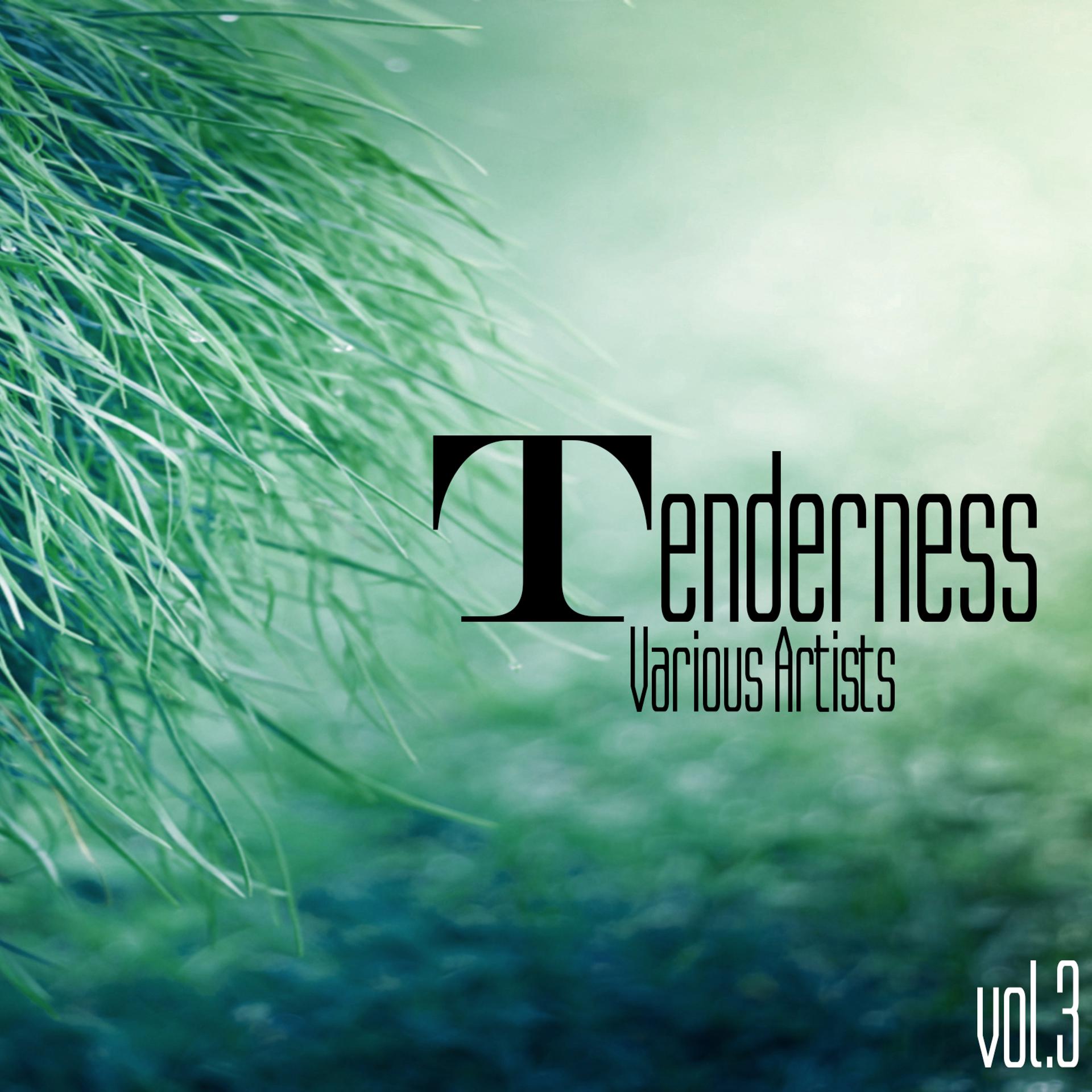 Постер альбома Tenderness, Vol. 3