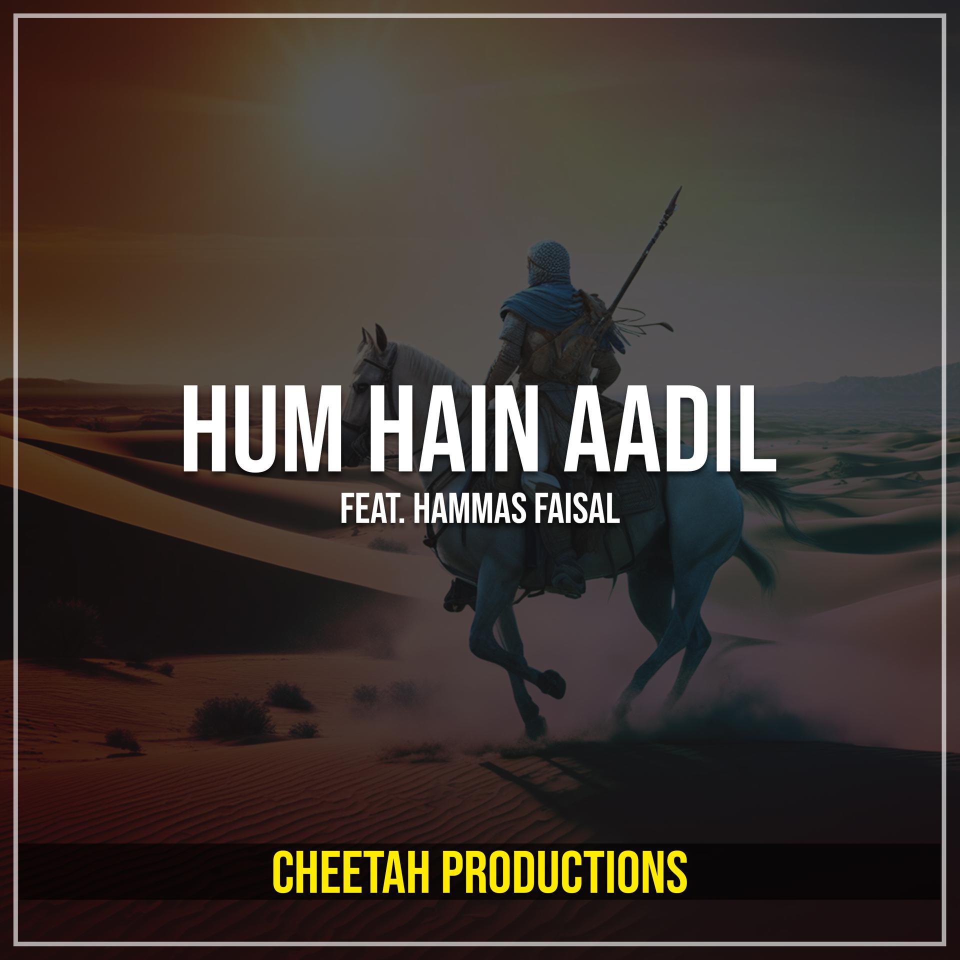 Постер альбома Hum Hain Aadil