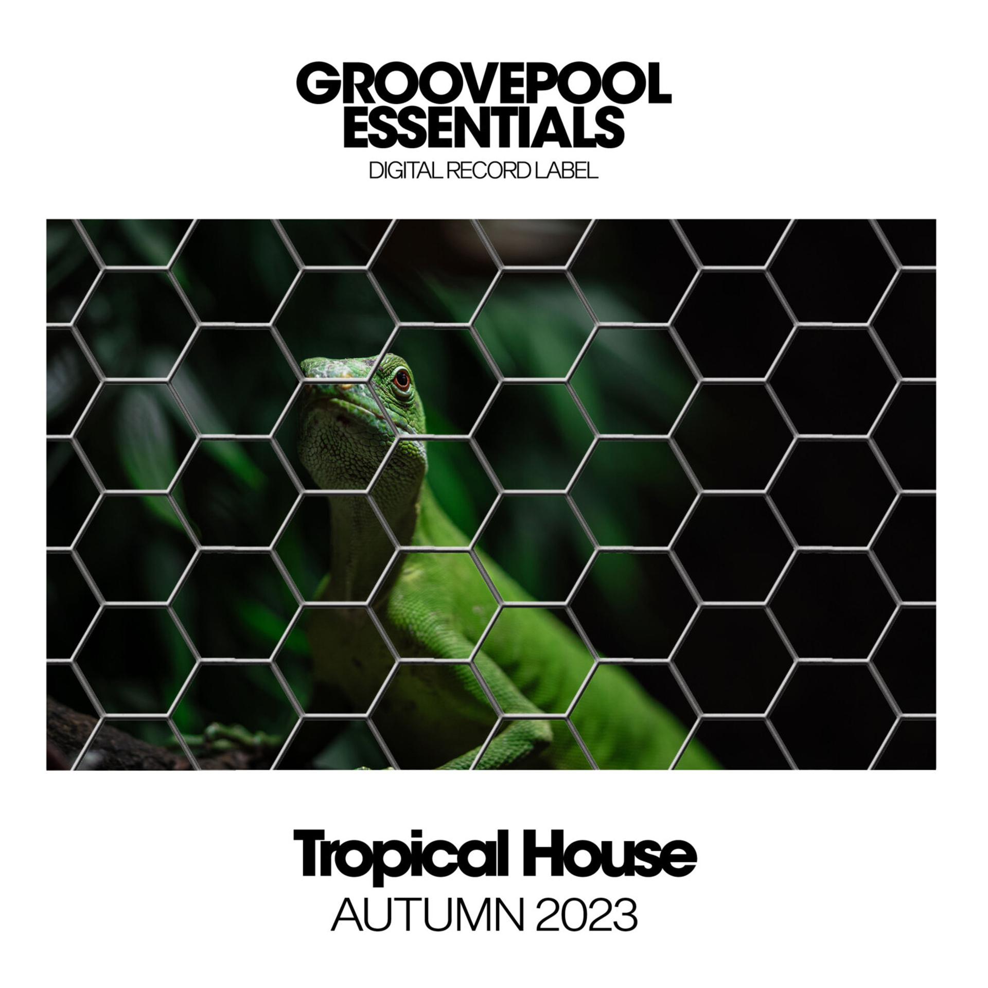 Постер альбома Tropical House 2023