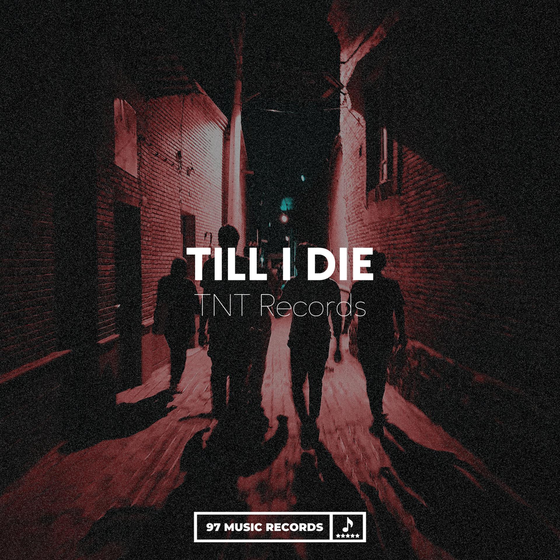 Постер альбома Till I Die