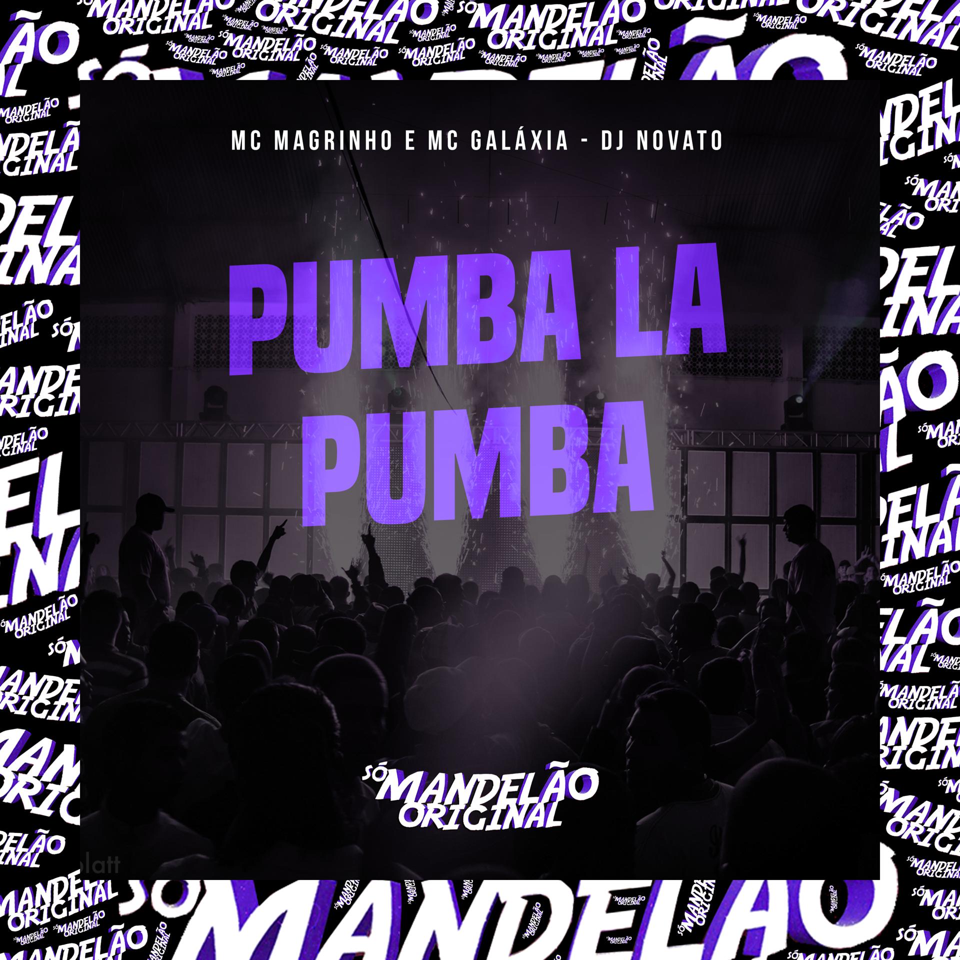 Постер альбома Pumba La Pumba