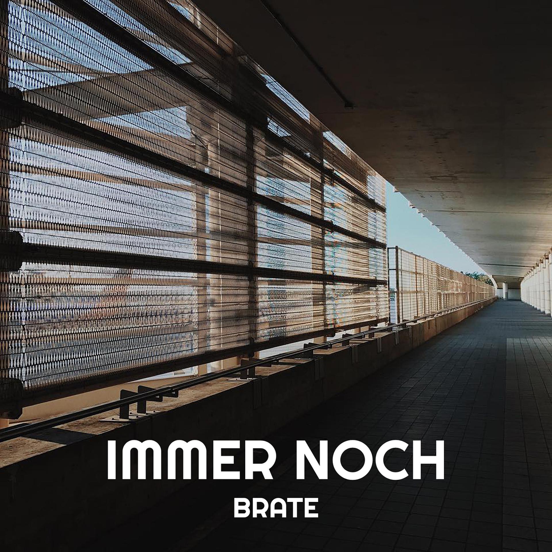 Постер альбома Immer Noch