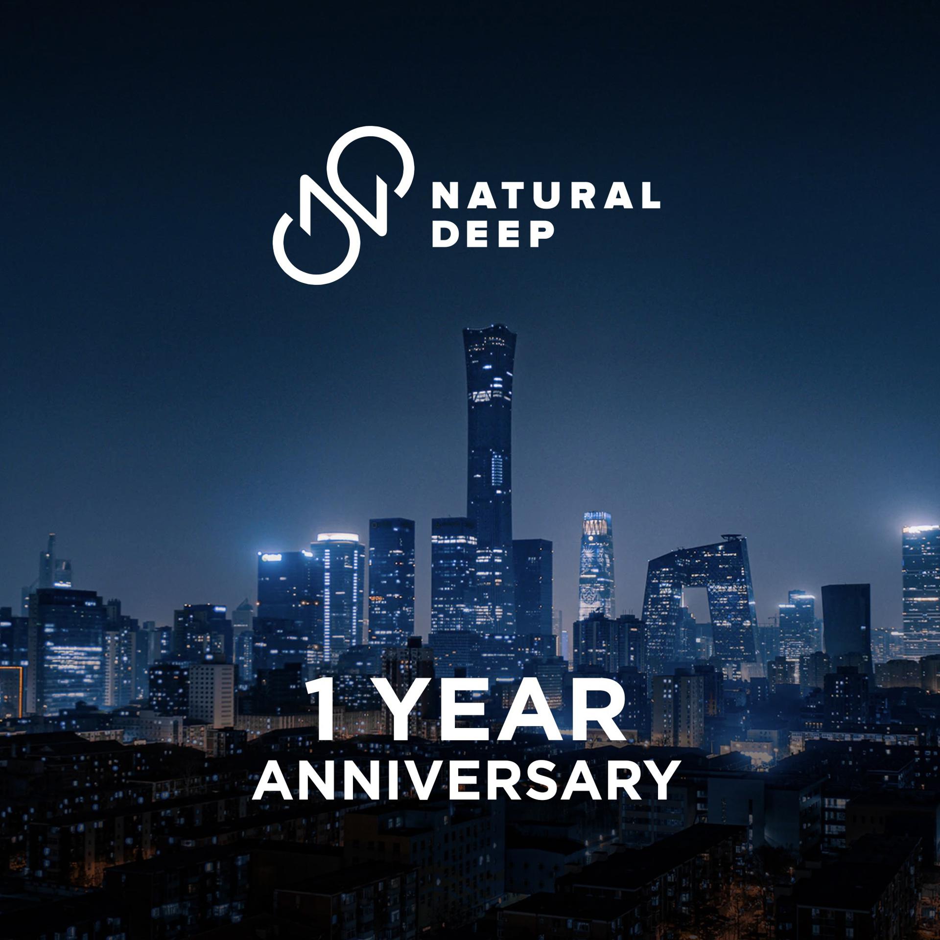 Постер альбома Natural Deep 1 Year Anniversary
