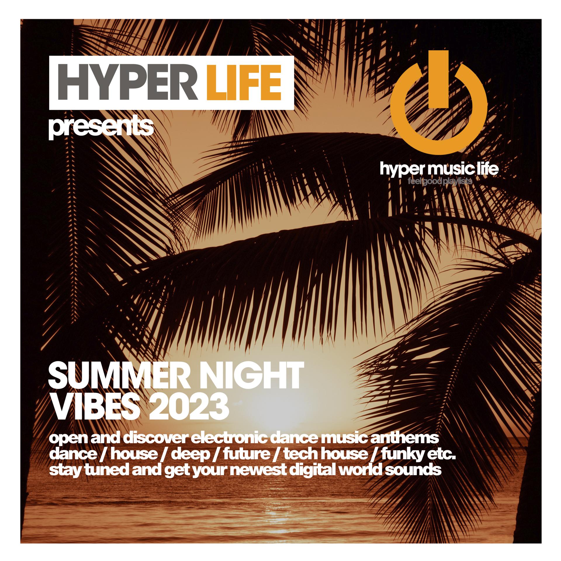 Постер альбома Summer Night Vibes 2023