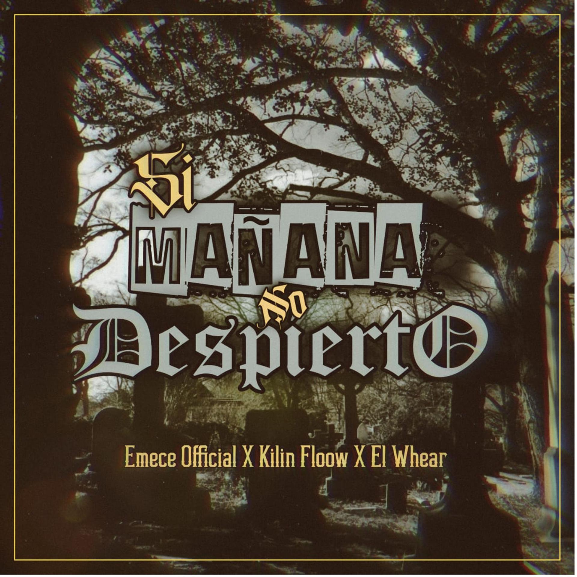 Постер альбома Si Mañana No Despierto