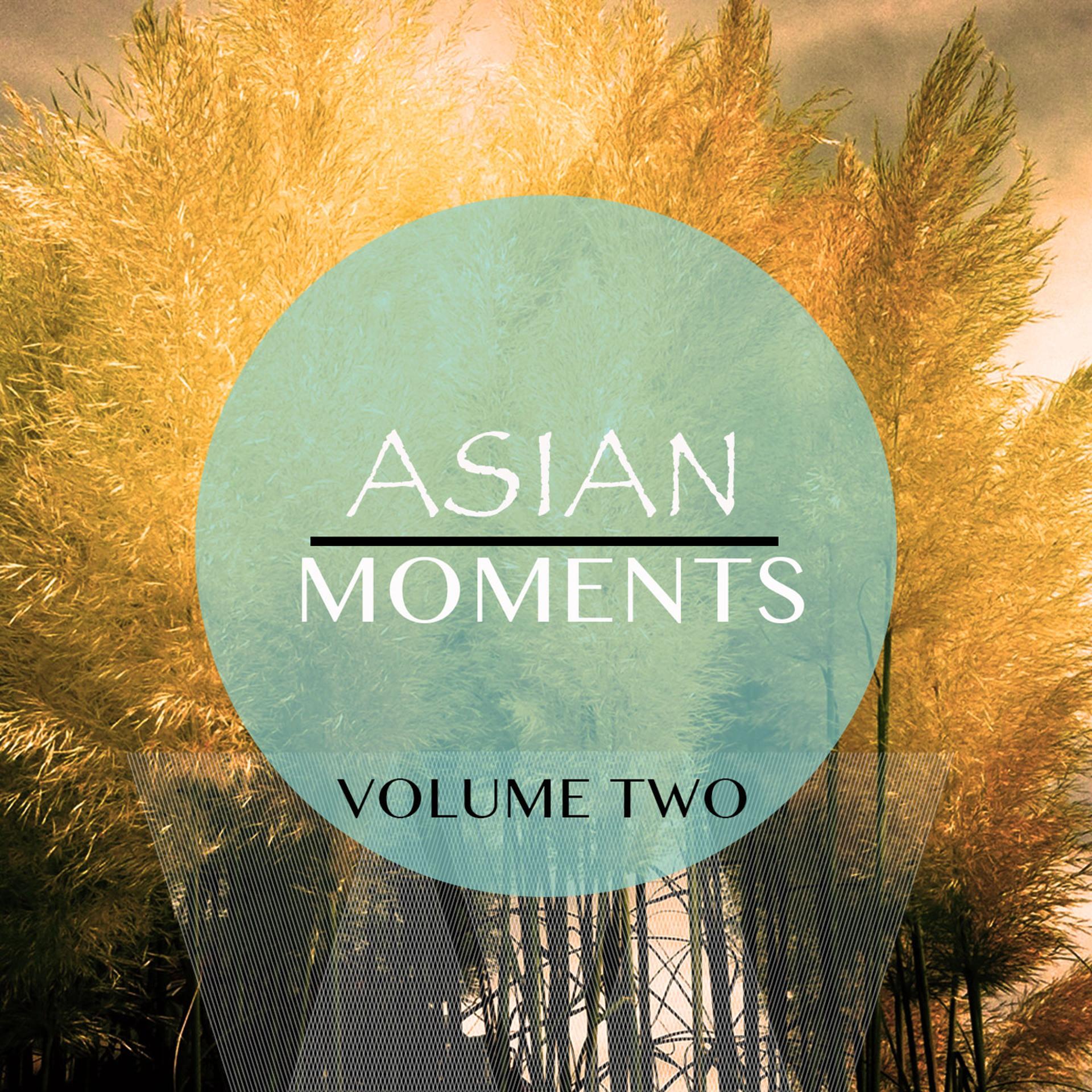 Постер альбома Asian Moments, Vol. 2