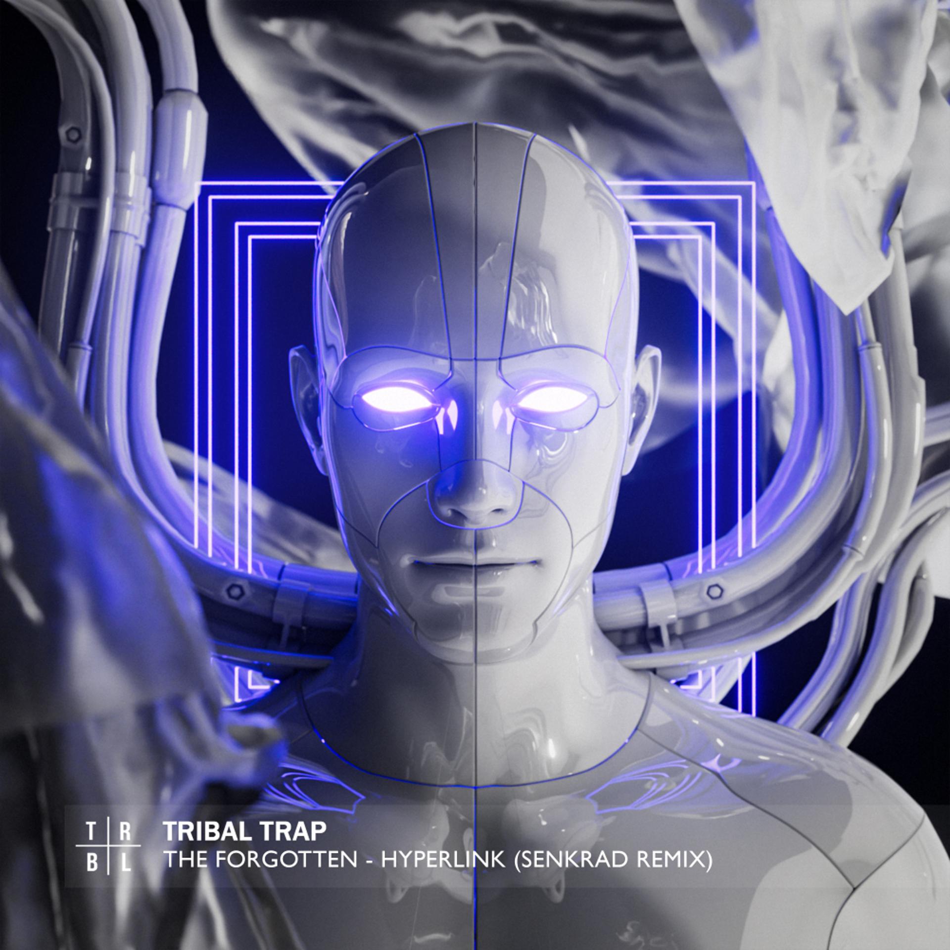 Постер альбома Hyperlink (SENKRAD Remix)