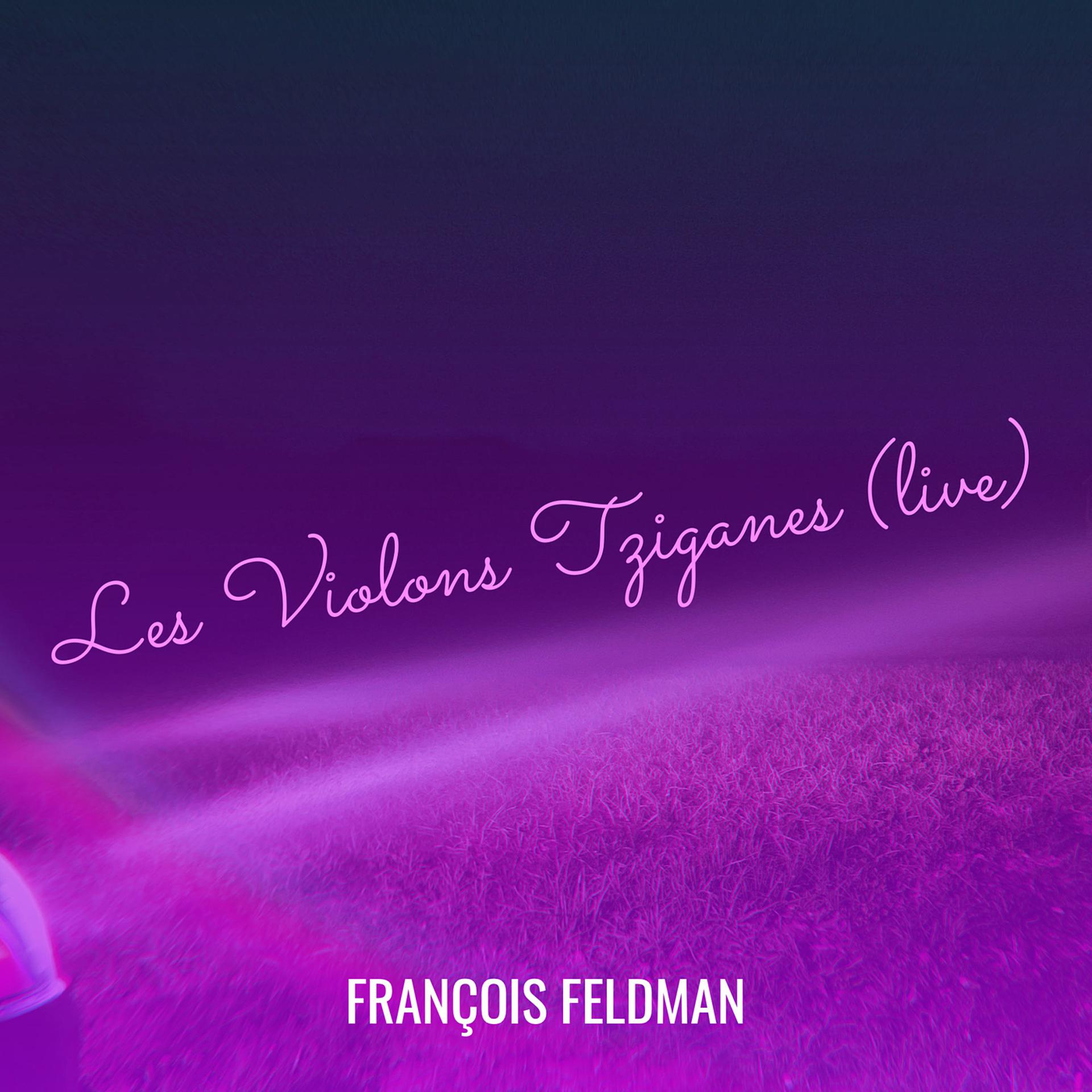 Постер альбома Les Violons Tziganes (live)