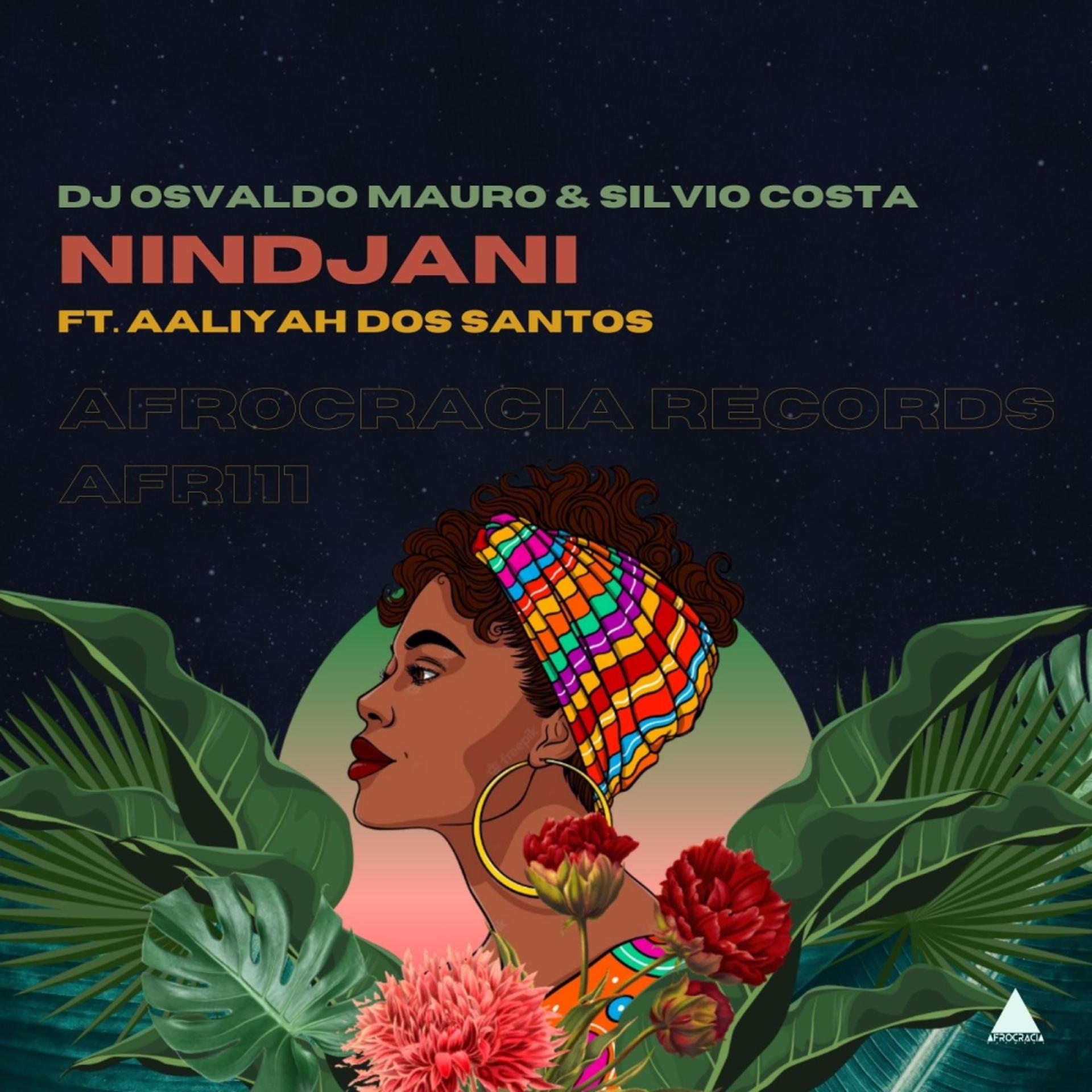 Постер альбома Nindjani