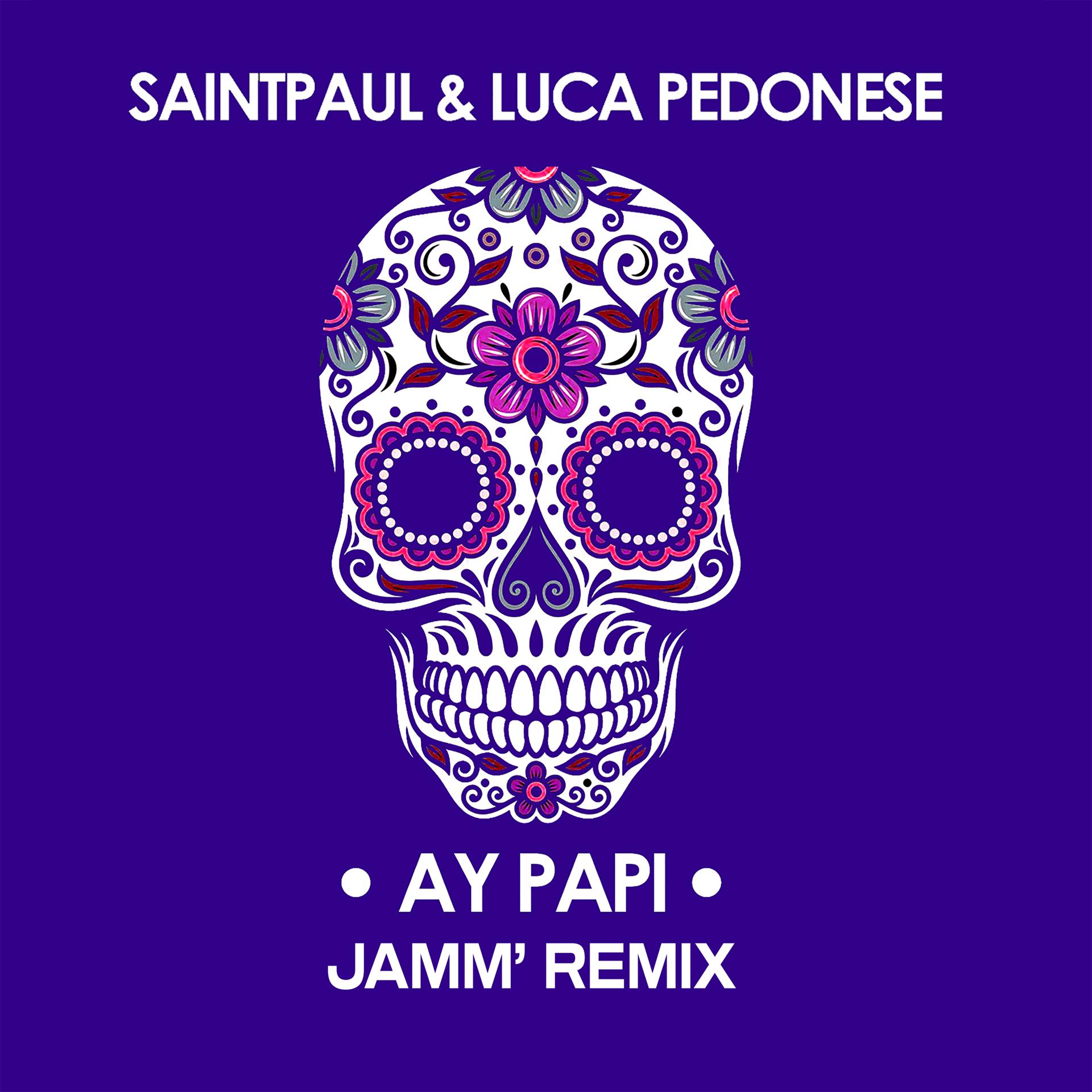 Постер альбома Ay Papi (JAMM' Remix)