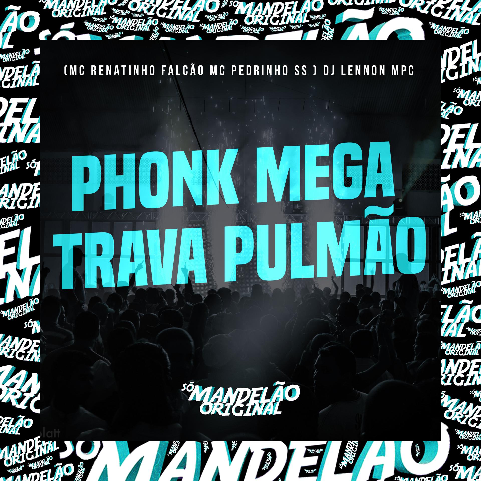 Постер альбома Phonk Mega Trava Pulmão