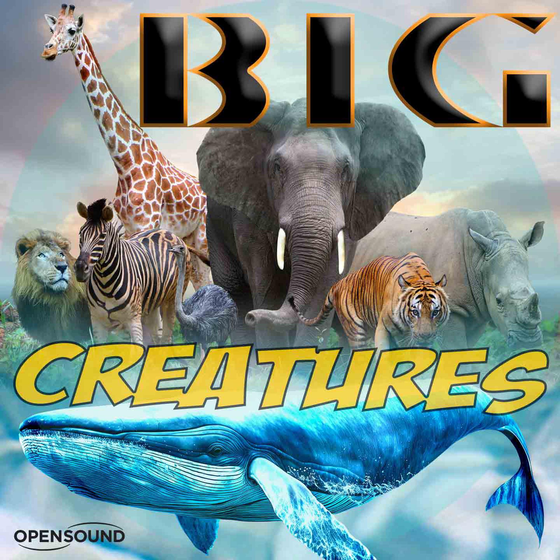 Постер альбома Big Creatures