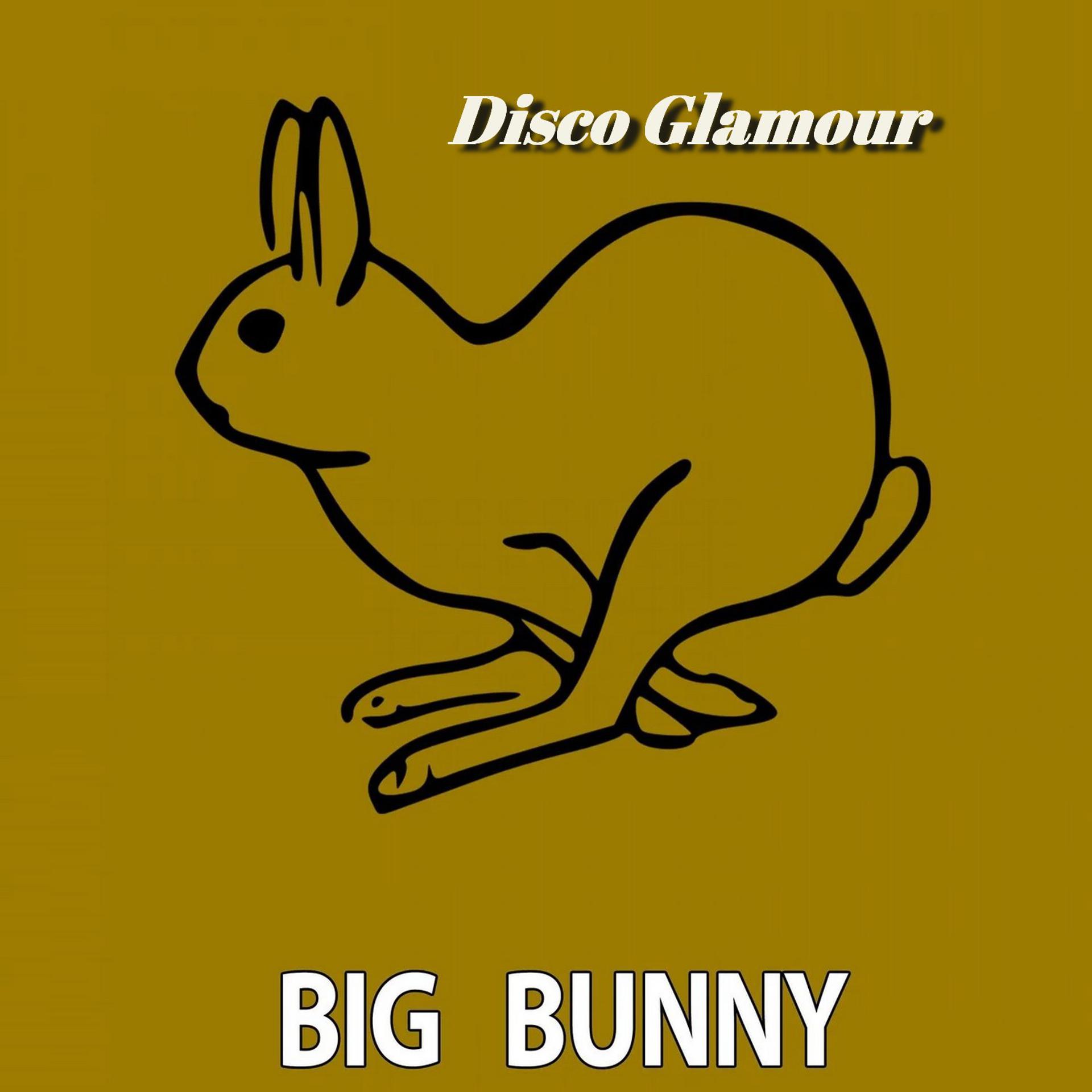 Постер альбома Disco Glamour