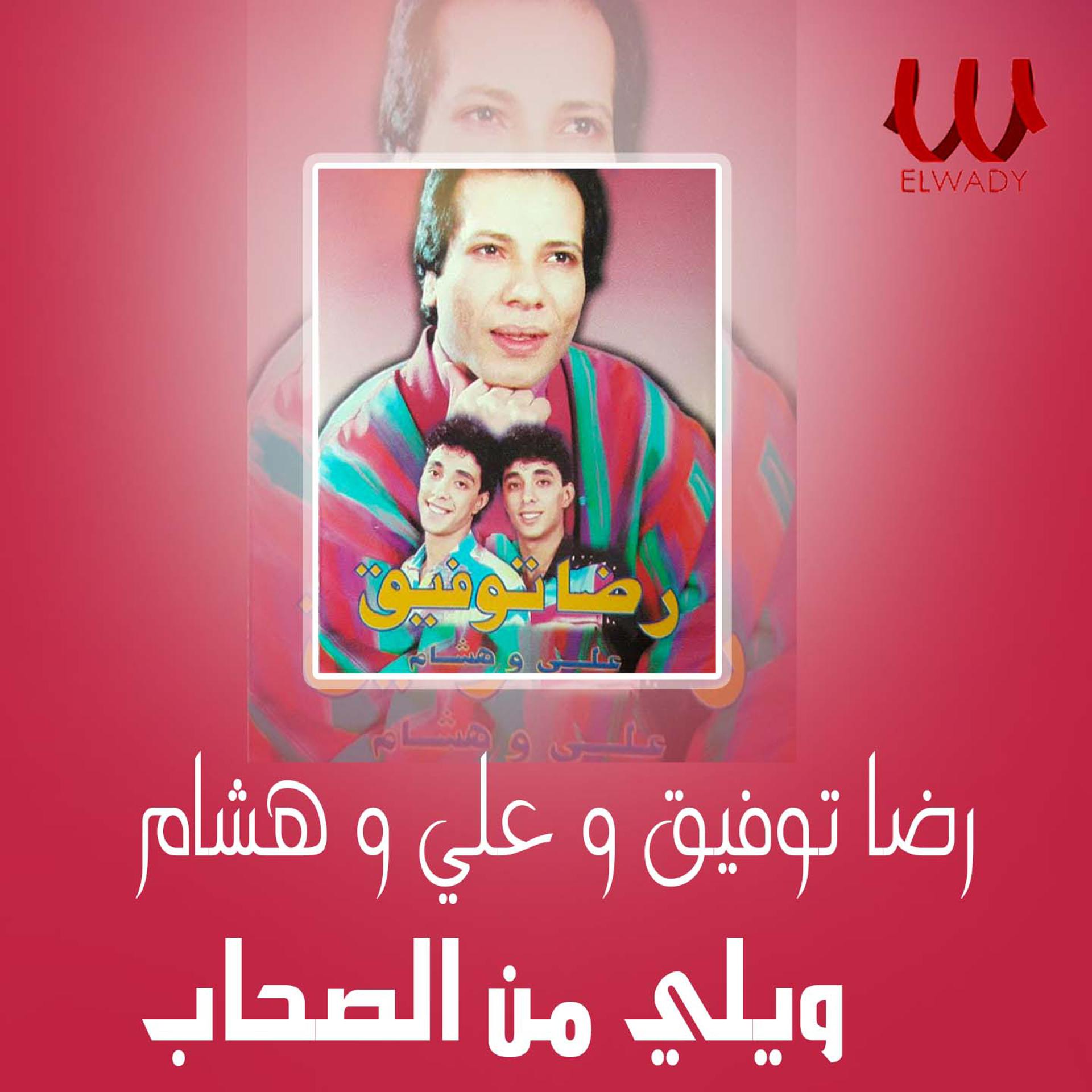 Постер альбома ويلى من الصحاب