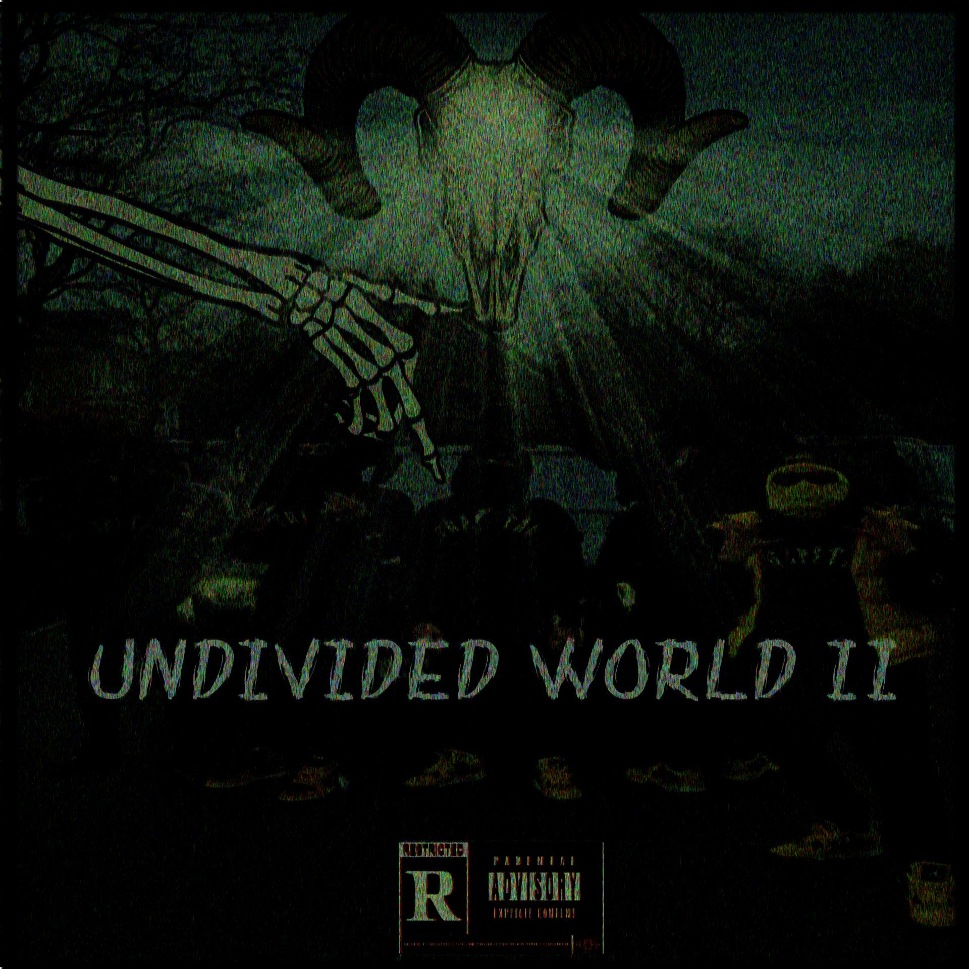 Постер альбома UNDIVIDED WORLD II