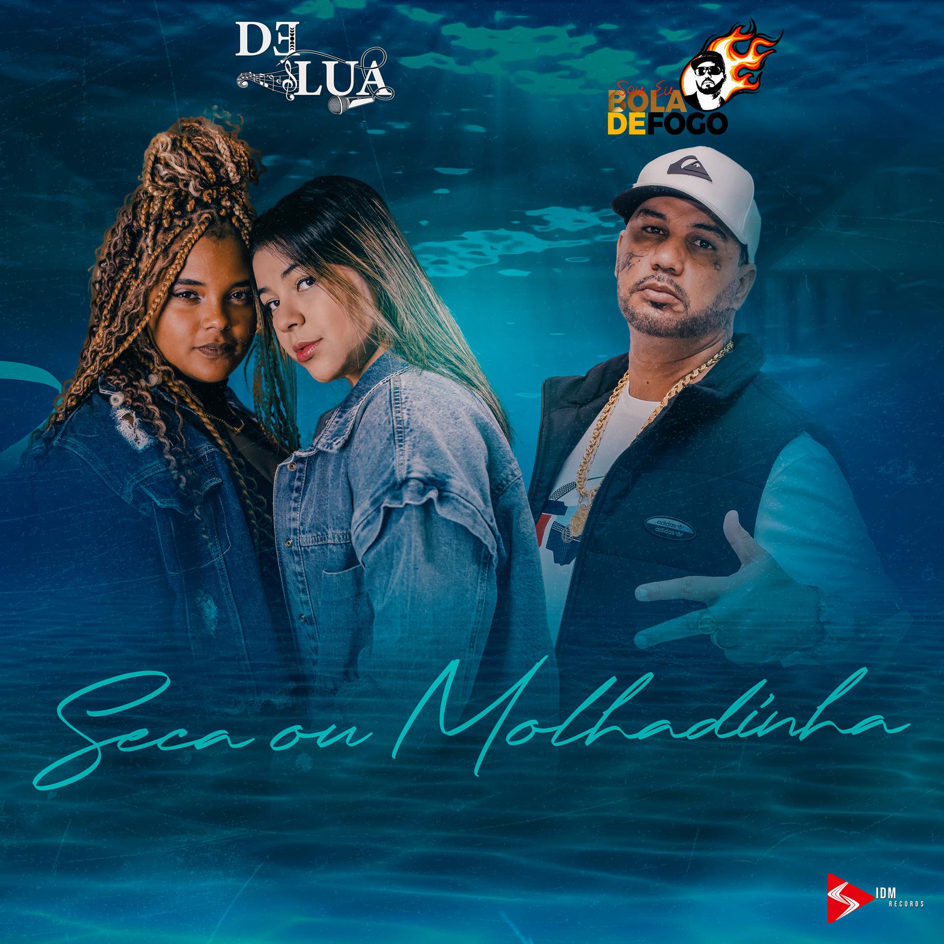 Постер альбома Seca ou Molhadinha