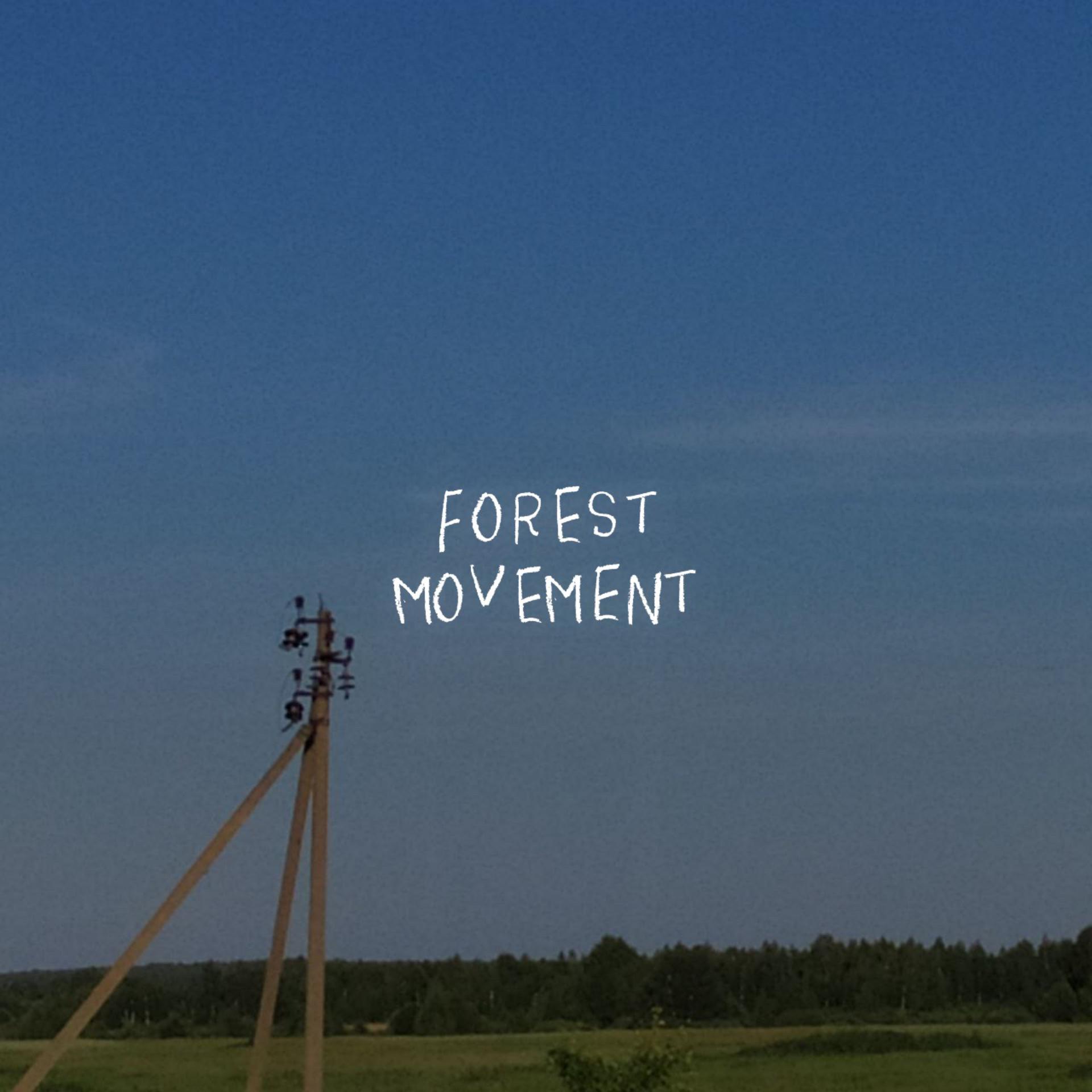 Постер альбома Forest Movement