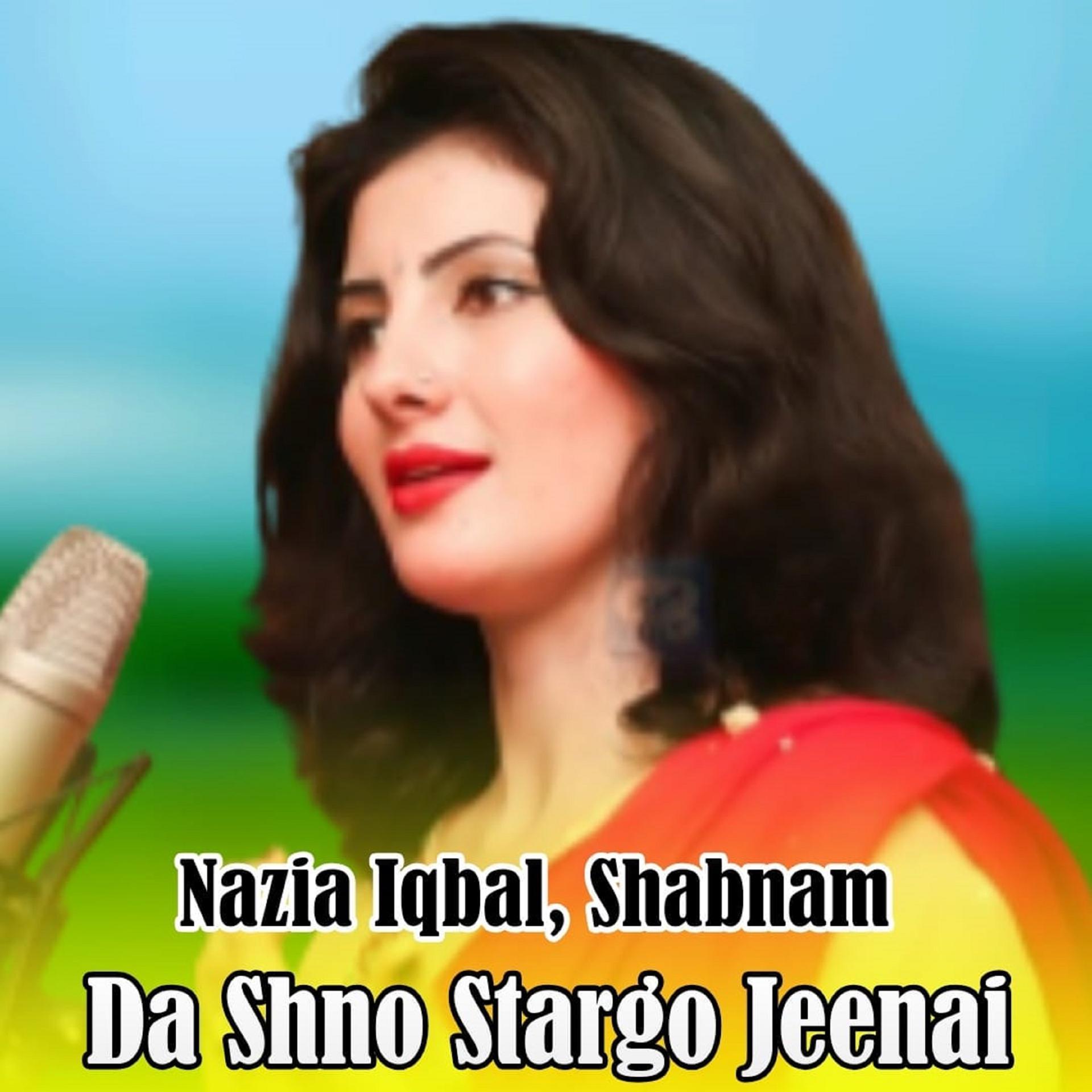 Постер альбома Da Shno Stargo Jeenai