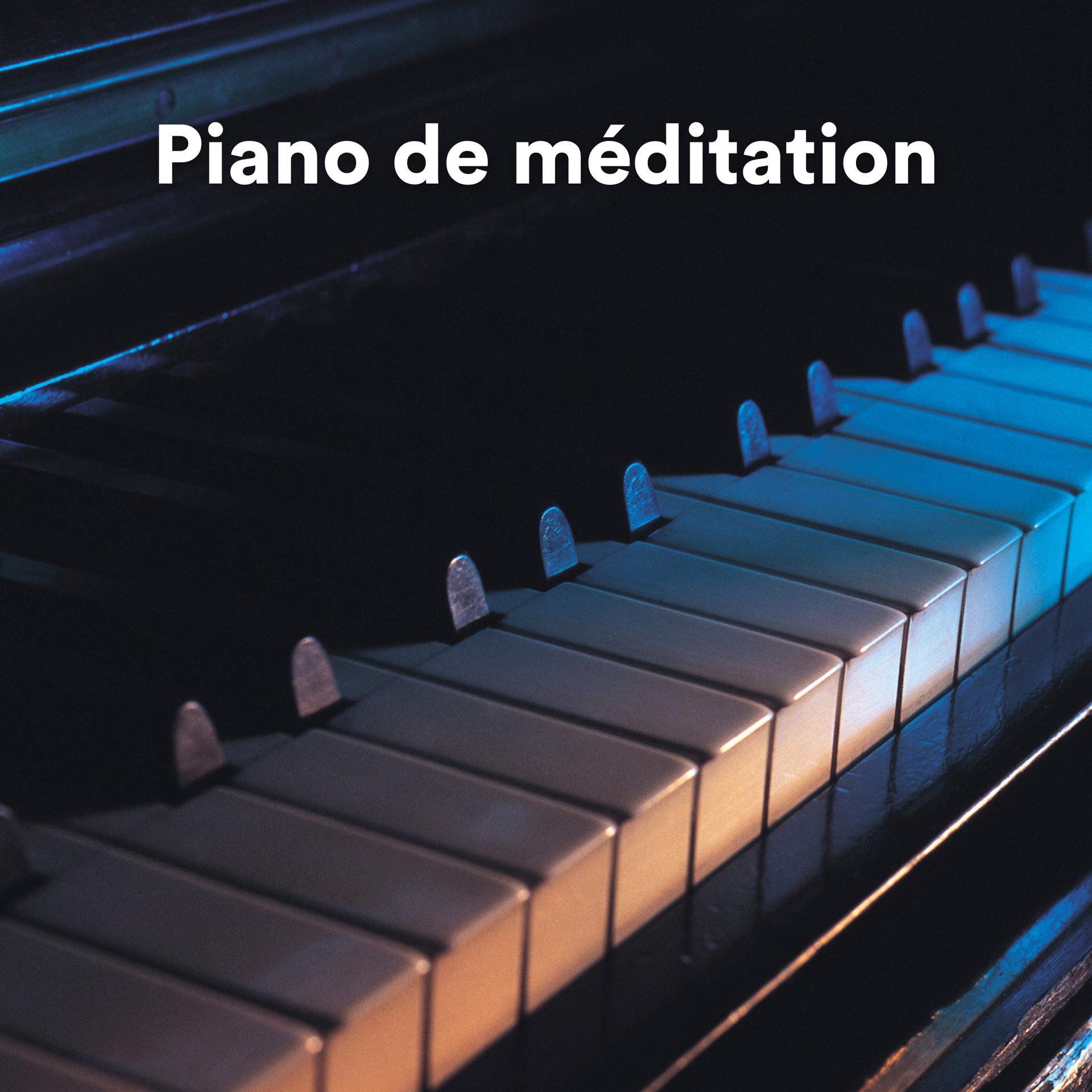 Постер альбома Piano de méditation