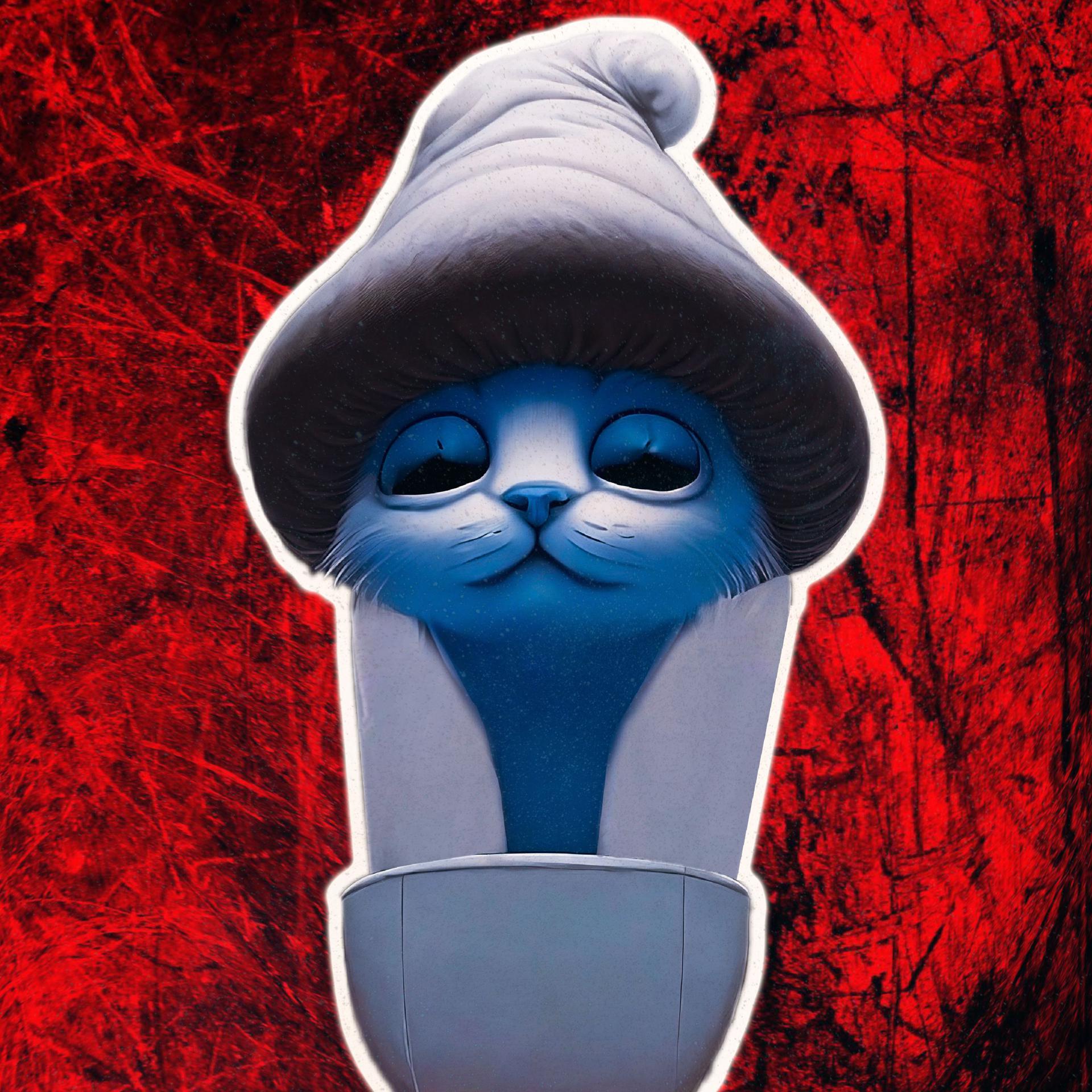 Постер альбома SKIBIDI SMURF CAT PHONK