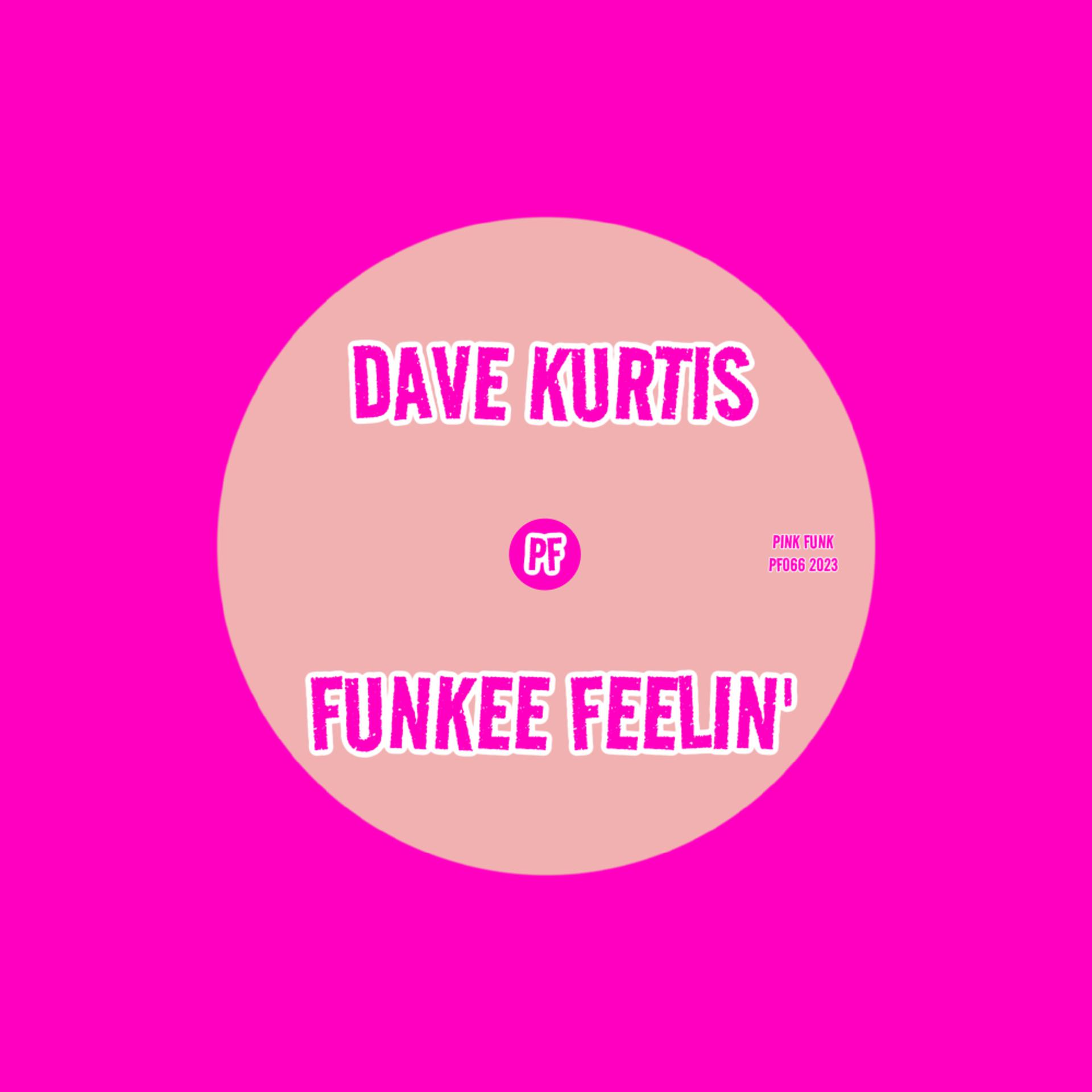 Постер альбома Funkee Feelin'