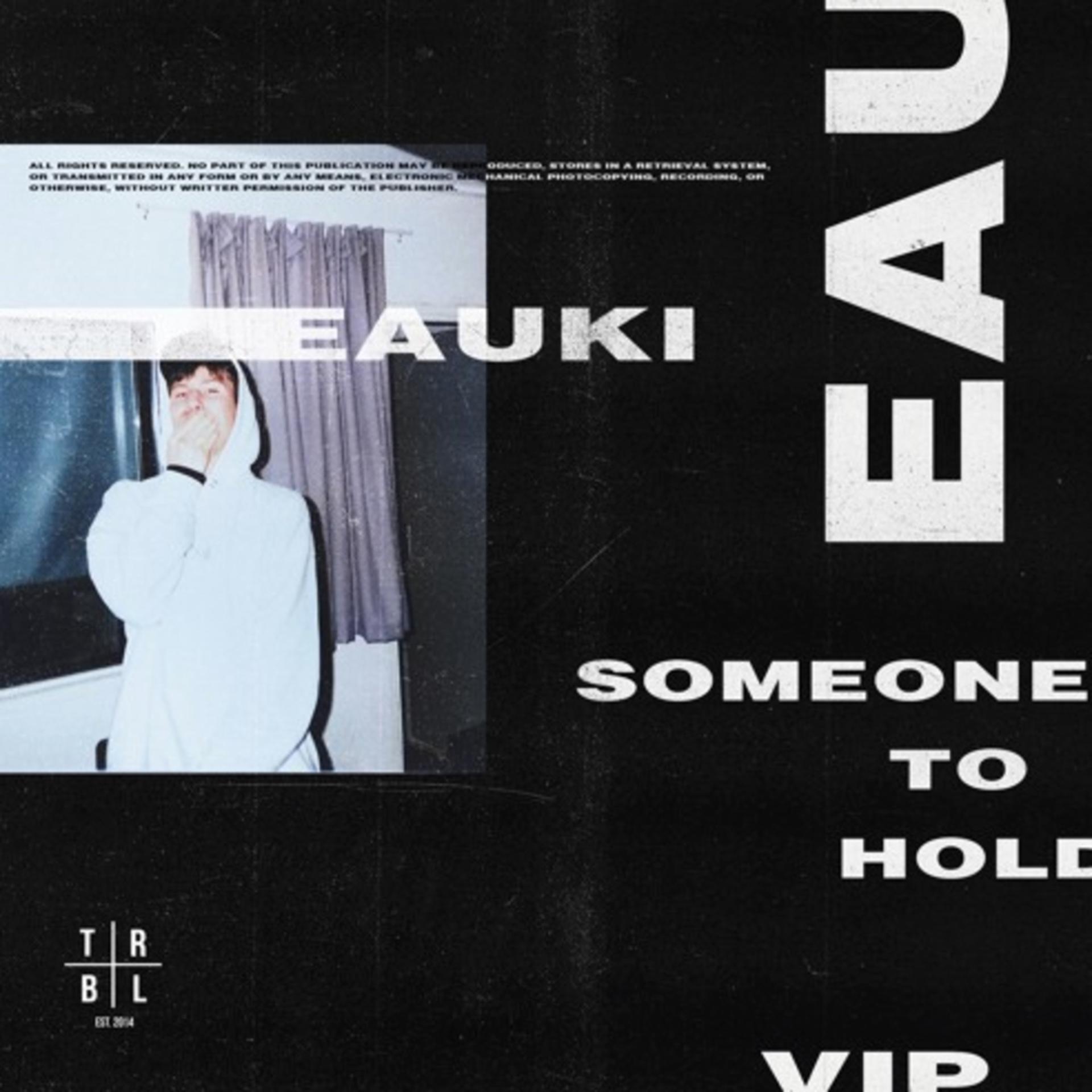 Постер альбома Someone to Hold (VIP)