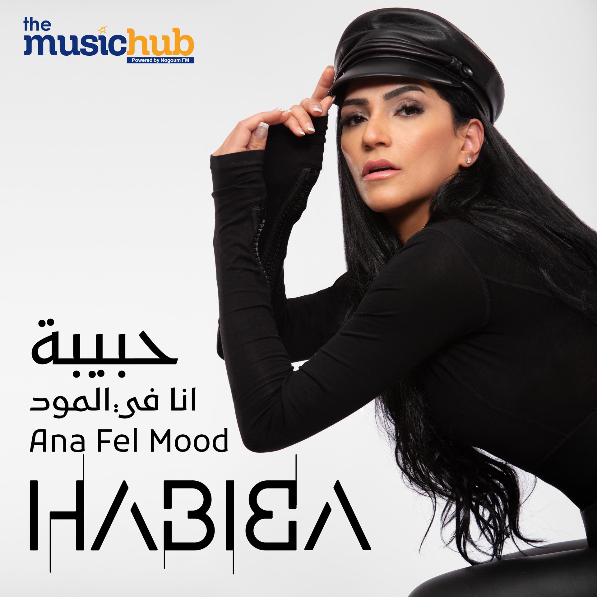 Постер альбома Ana Fel Mood