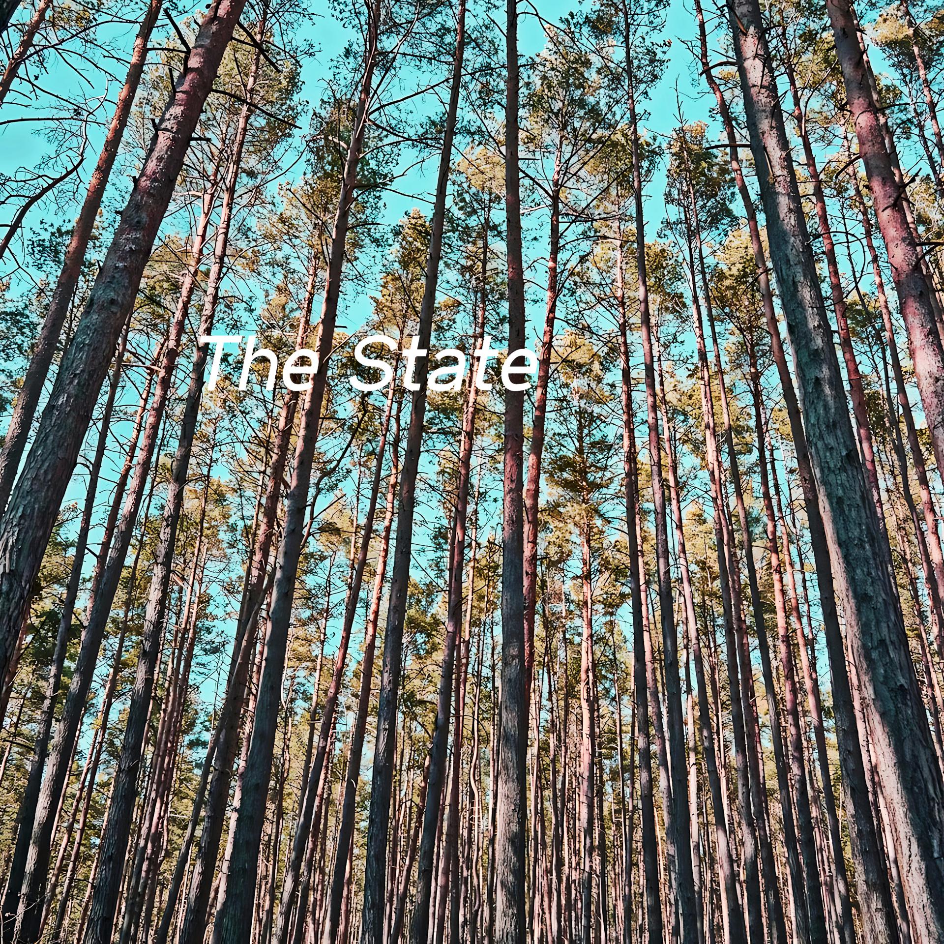 Постер альбома The State