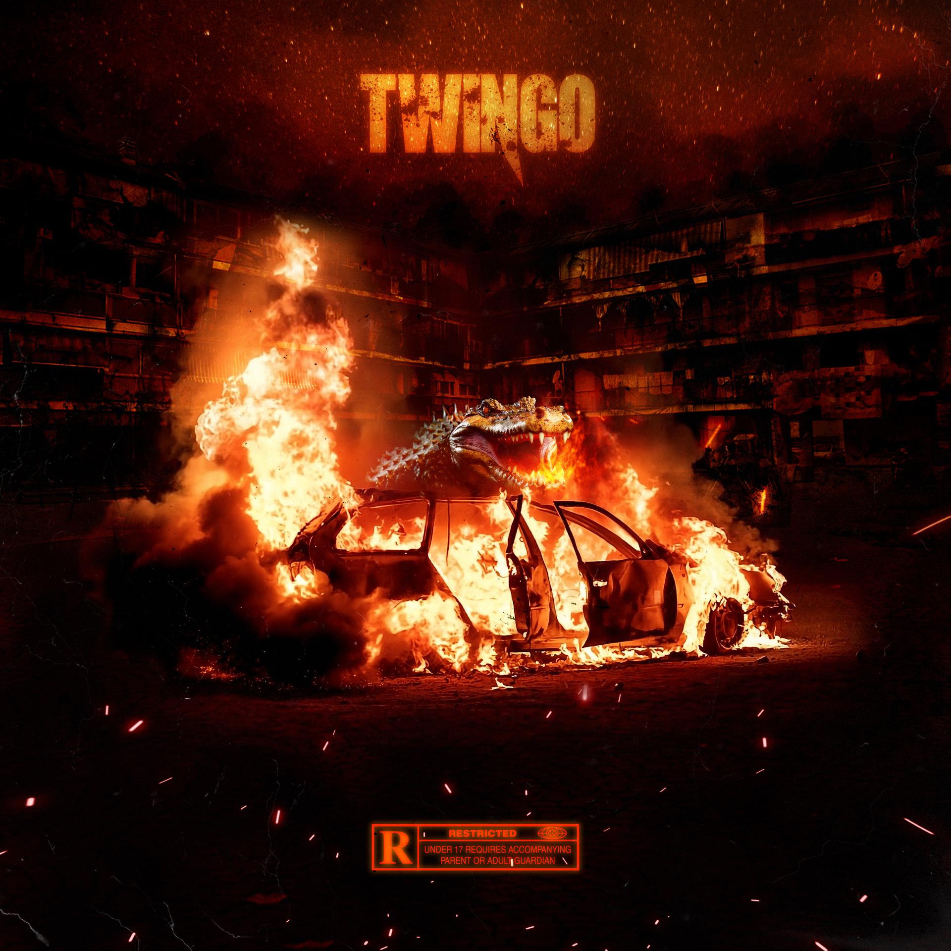 Постер альбома Twingo