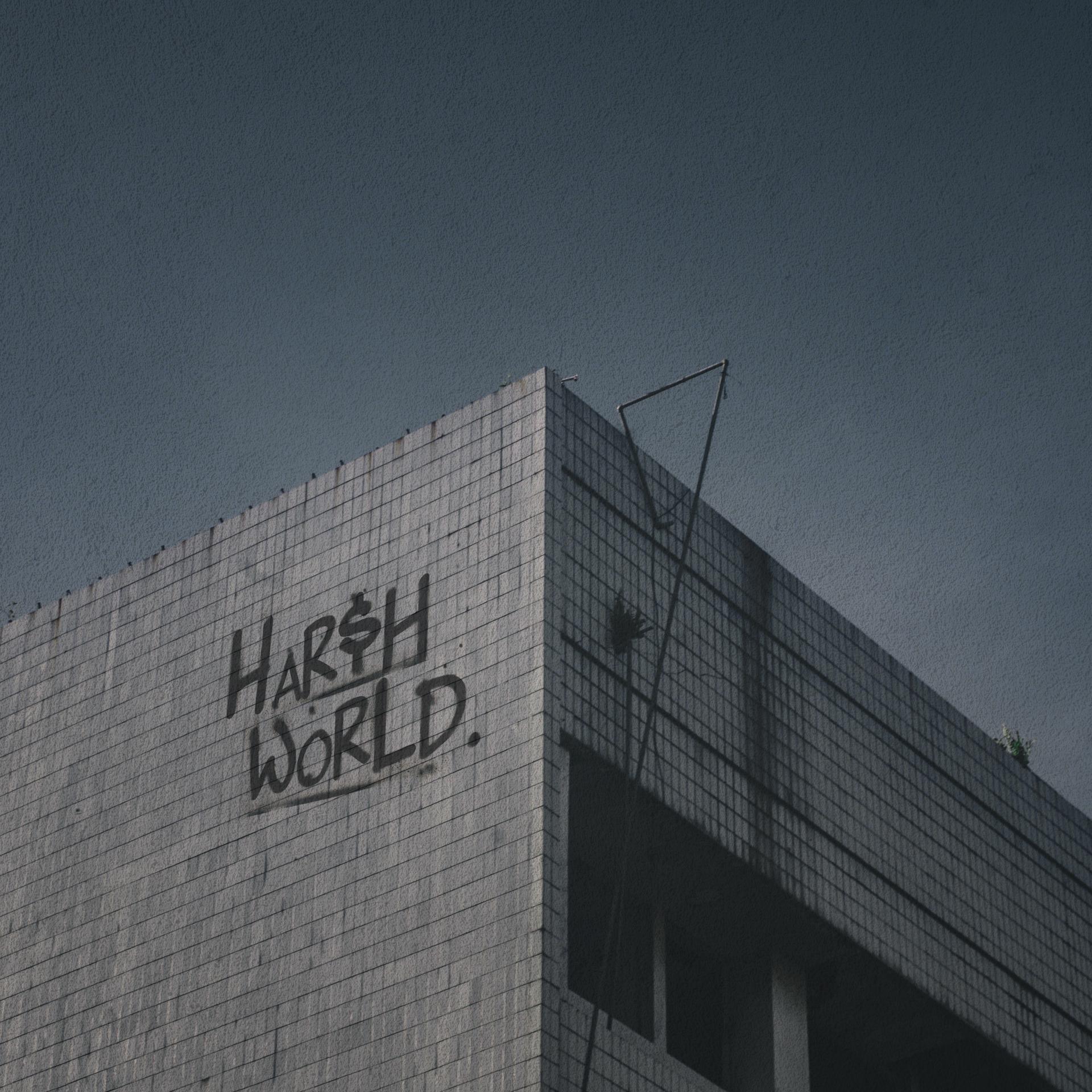 Постер альбома Harsh World