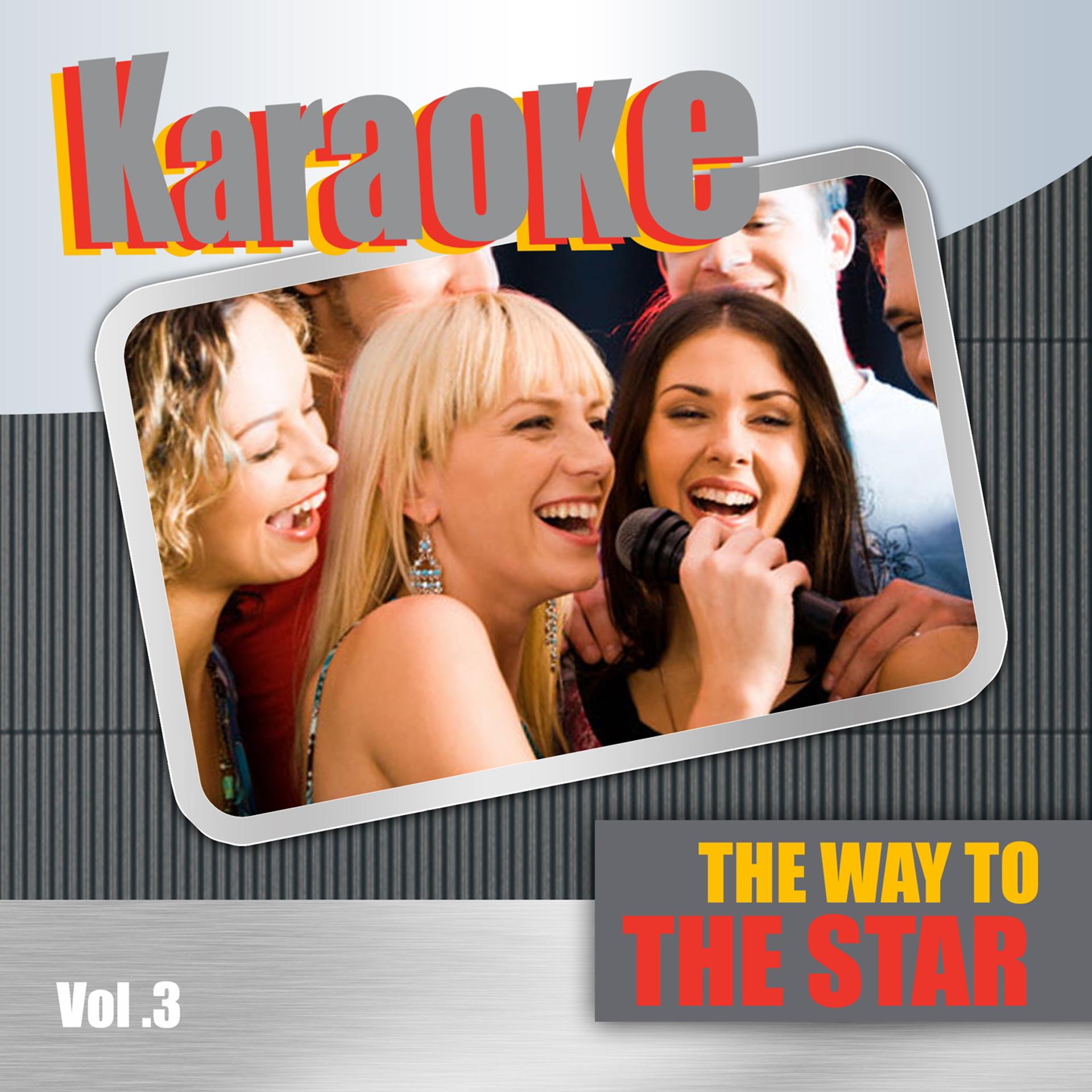Постер альбома Karaoke the Way to the Star, Vol. 3